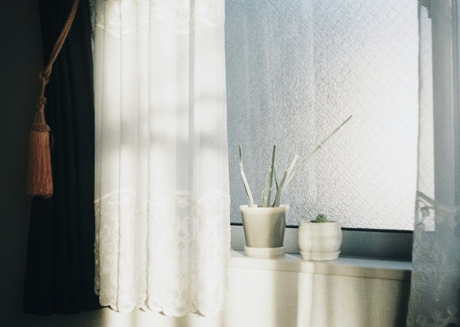 Eine ruhige Fensterszene mit weißen und schwarzen Vorhängen und zwei Topfpflanzen