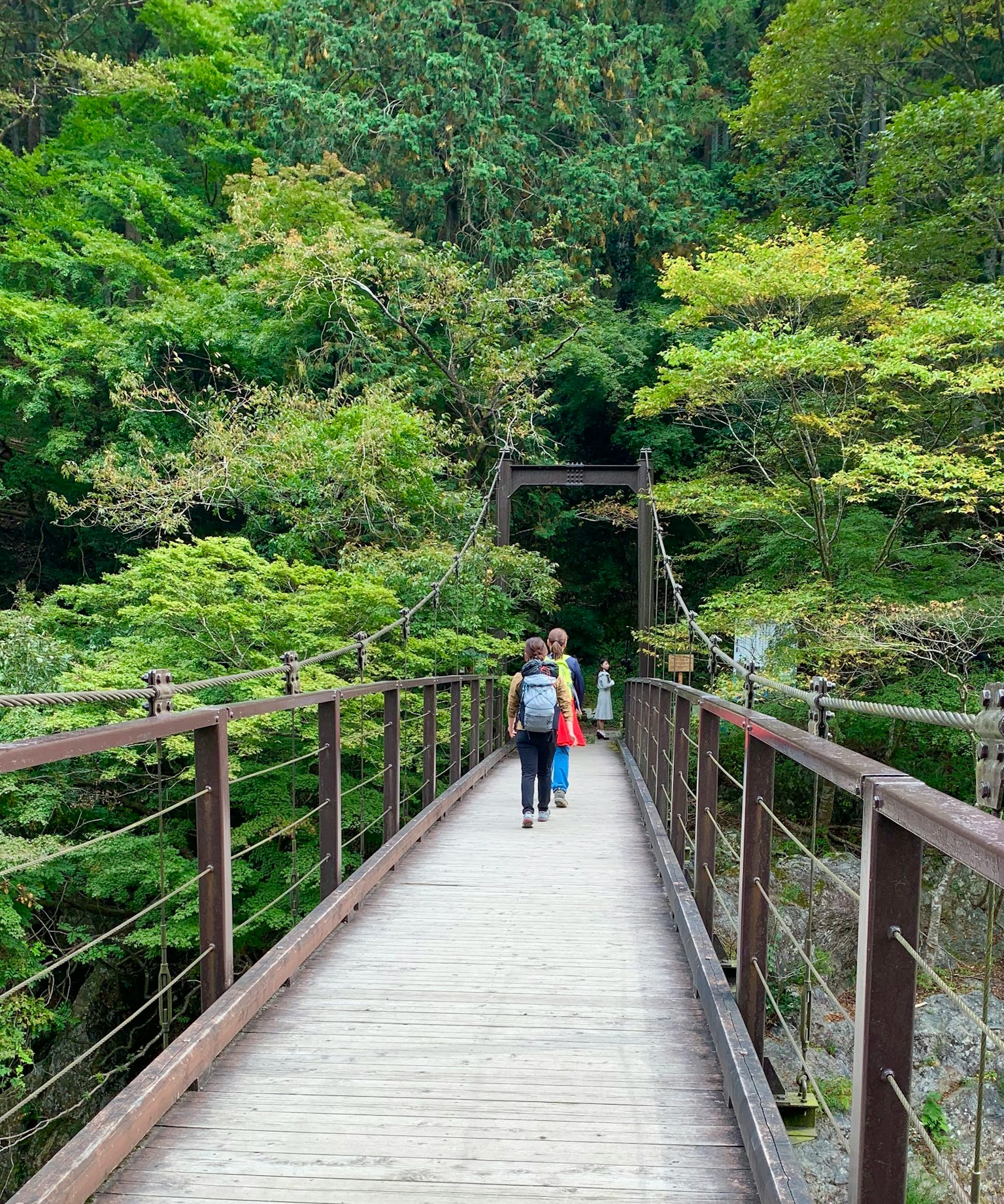 Dos personas caminando sobre un puente colgante rodeado de exuberante vegetación