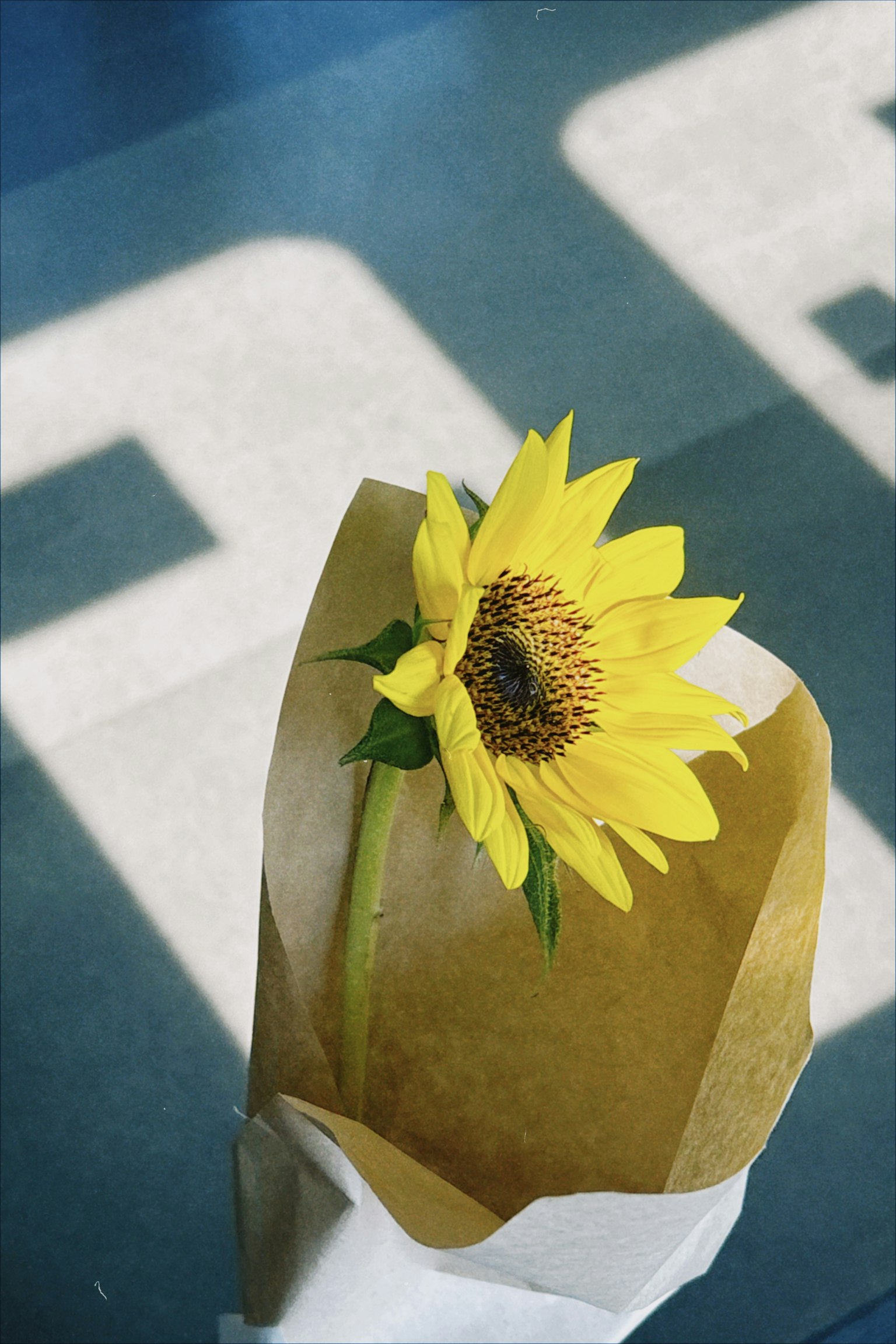 A bright yellow sunflower wrapped in brown paper