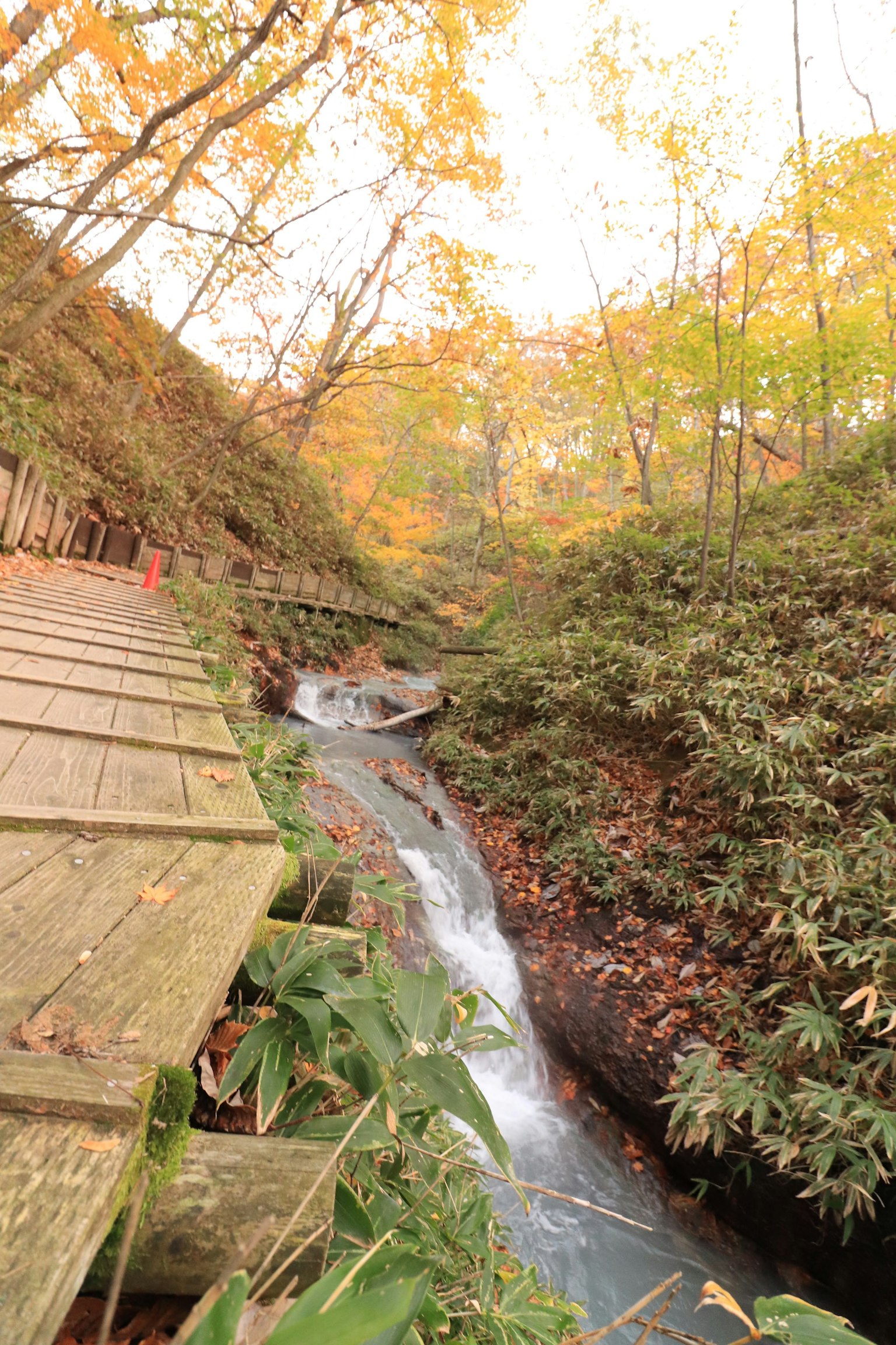 美麗的秋季風景，小溪和木棧道