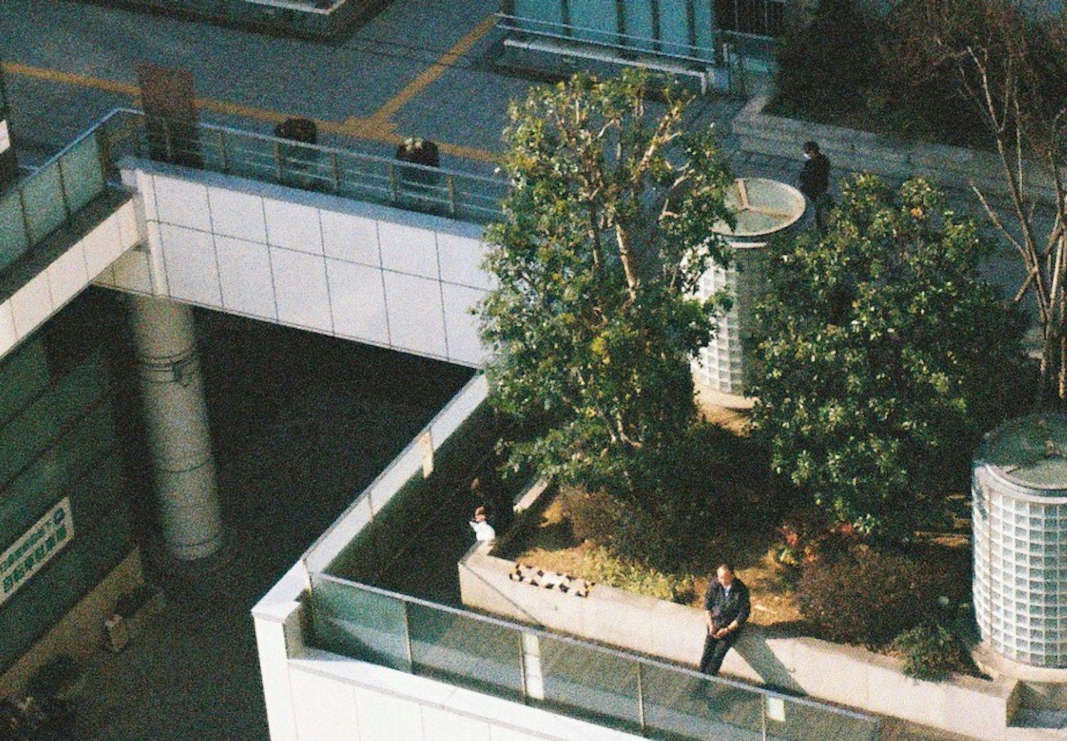 高層建築屋頂的綠色植物和行人