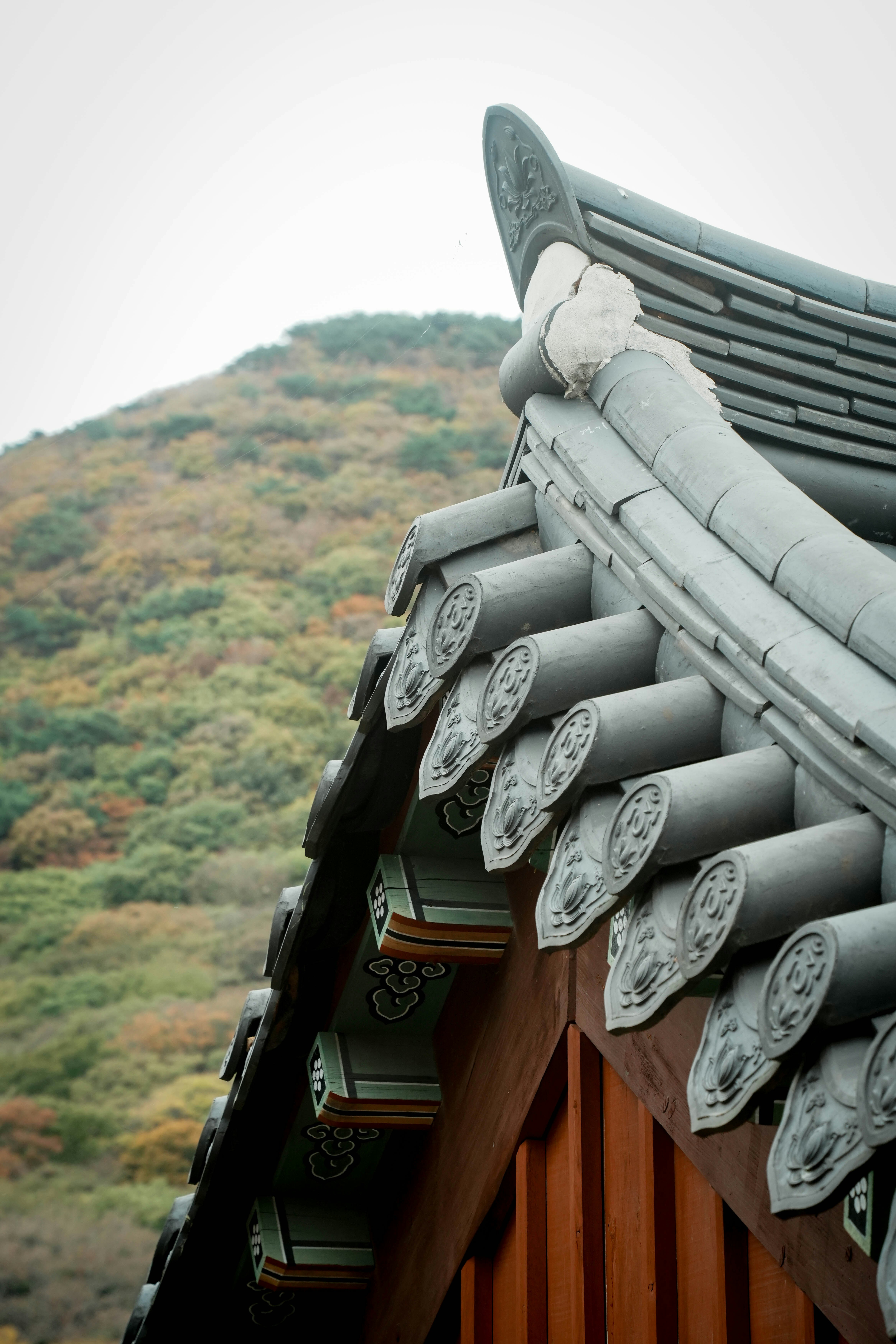 丘の斜面を背景にした伝統的な屋根の装飾