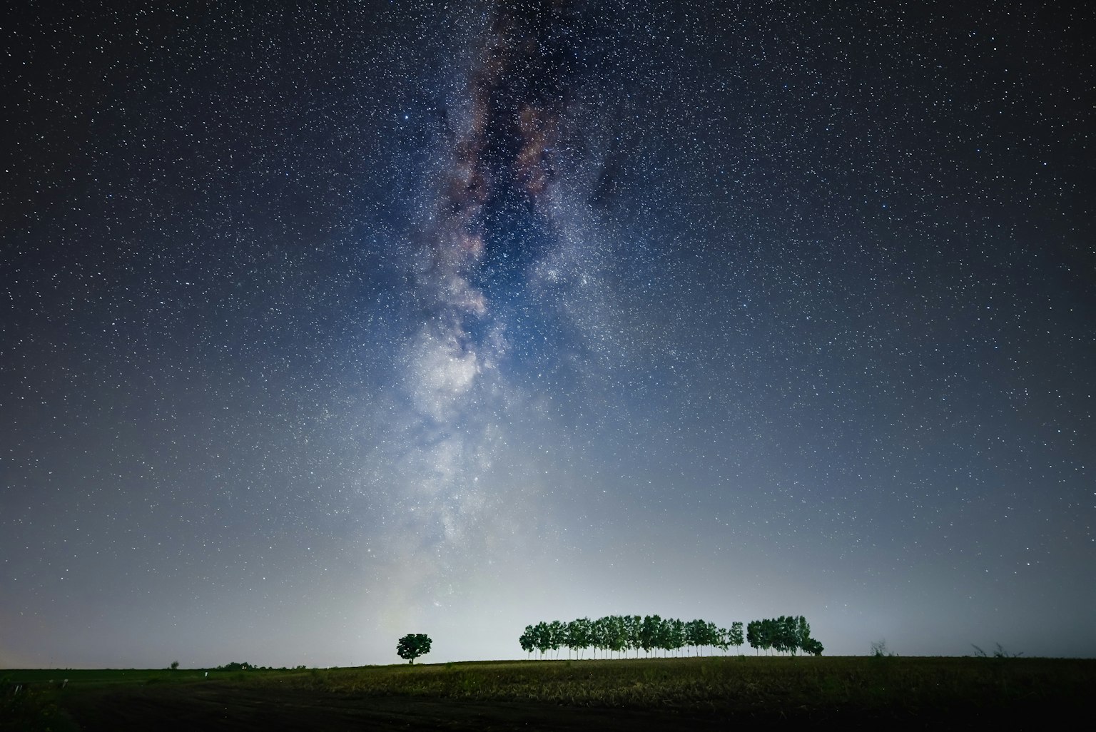 A stunning view of the Milky Way above a silhouette of trees against a vast landscape