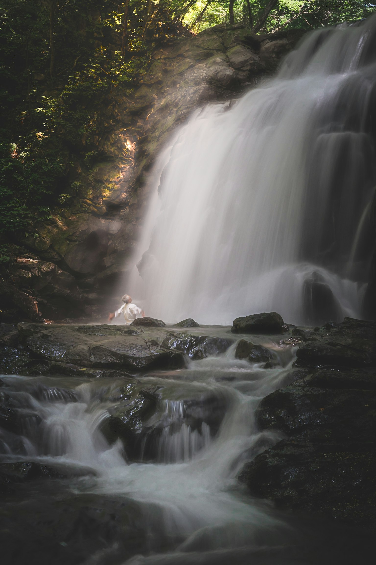 Una cascada serena que fluye entre la exuberante vegetación