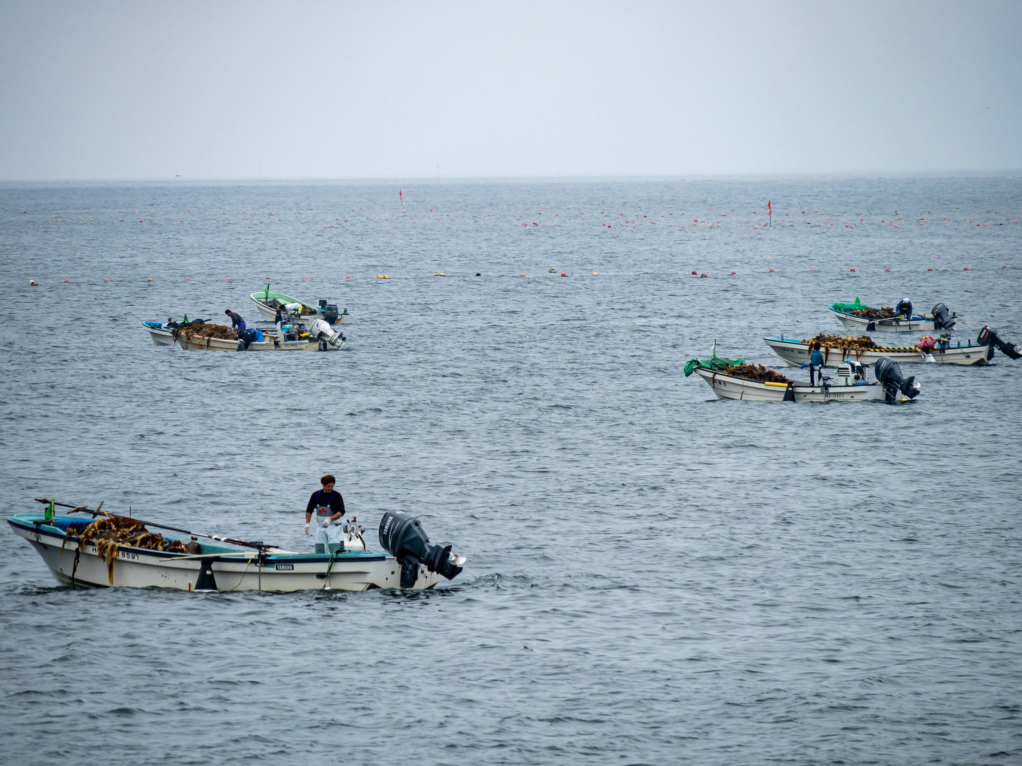 沖合に並ぶ漁船と漁具のある海面