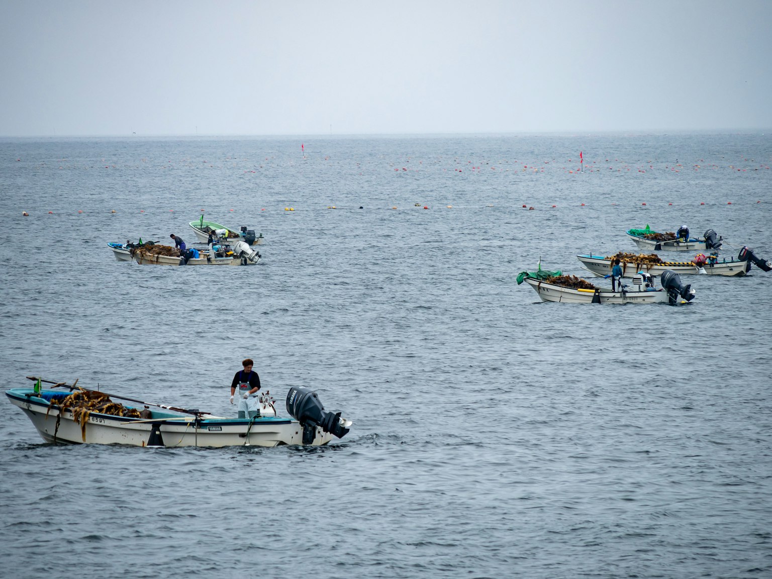 Beberapa perahu kecil sedang memancing di lautan