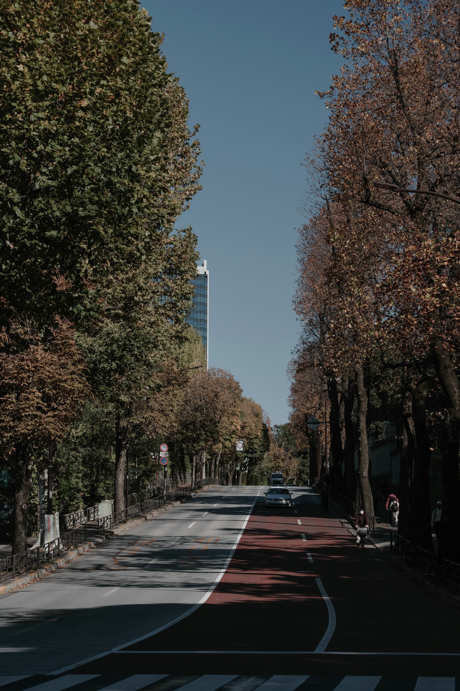 Strada autunnale fiancheggiata da alberi e vista di un edificio alto