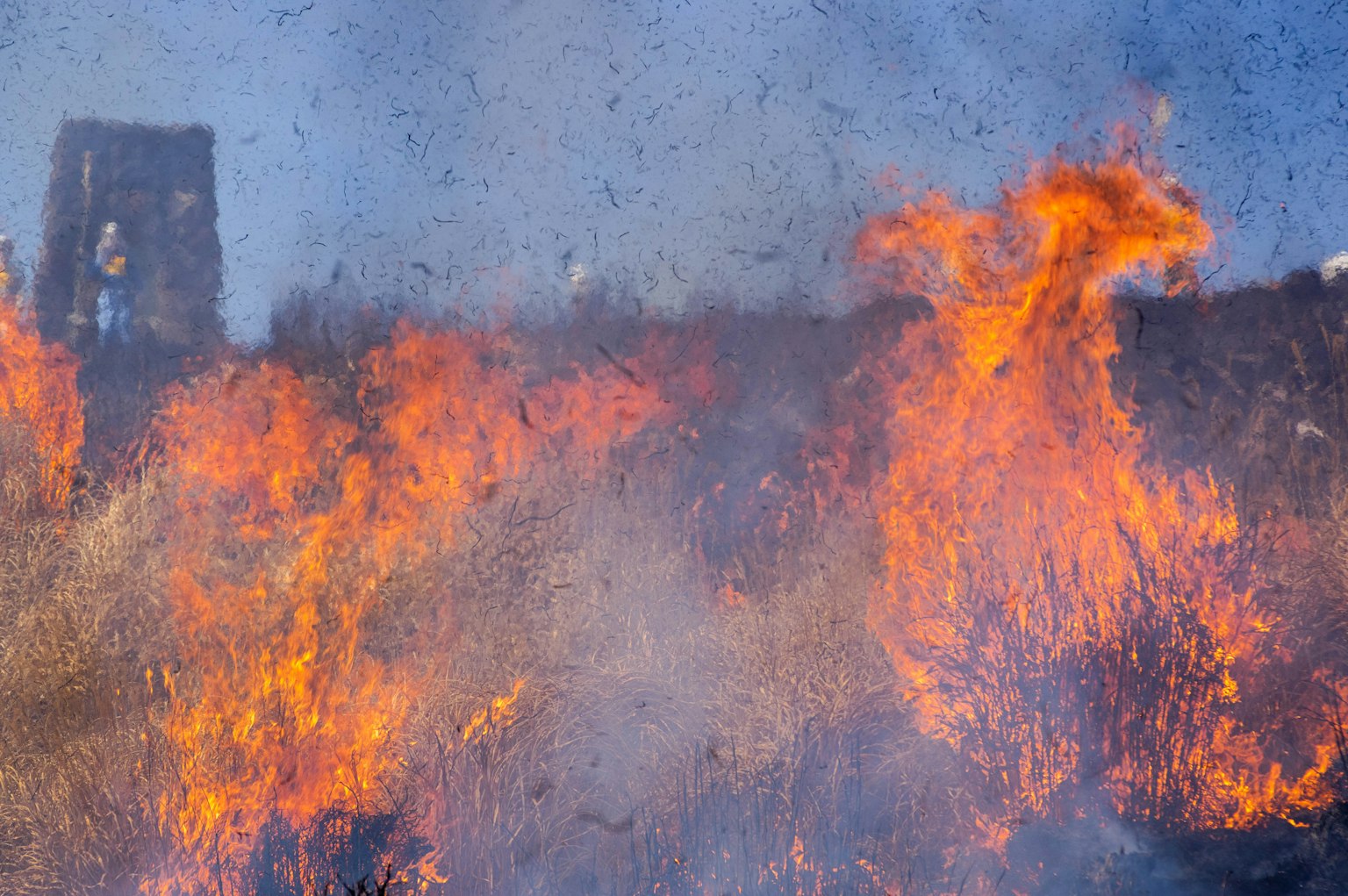 Waldbrand mit Flammen und Rauch in einer natürlichen Landschaft