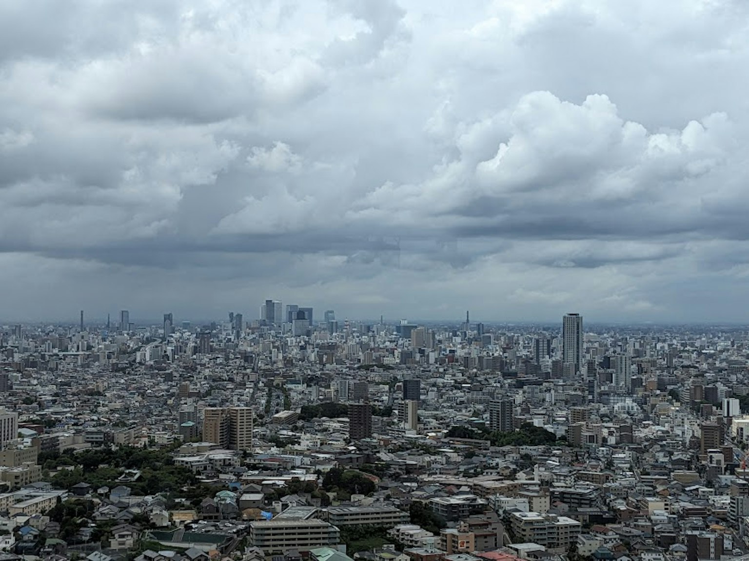 Weite Stadtlandschaft von Tokio unter einem bewölkten Himmel