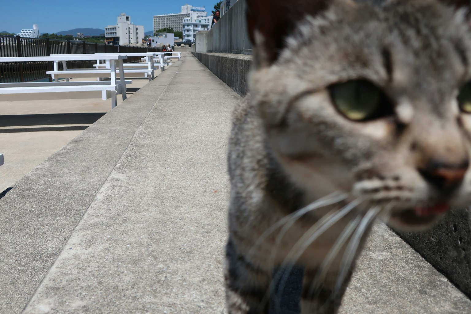 photo-GATwgzzPBSPs9cjQgX5o-image