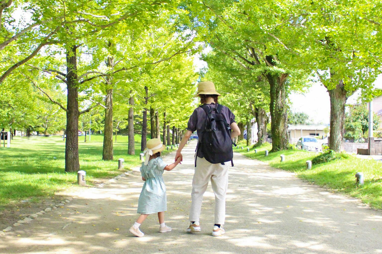 Parent and child walking hand in hand on a tree-lined path