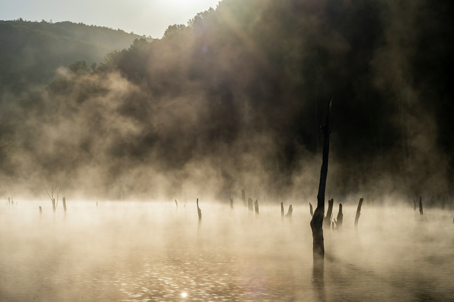 霧氣瀰漫的湖泊與樹樁和山脈背景