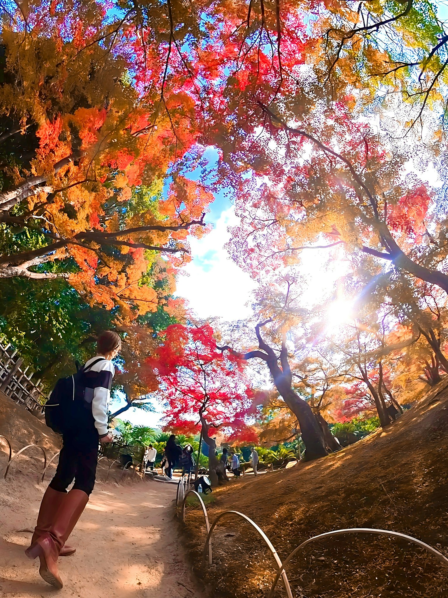 A person walking down a path surrounded by vibrant autumn foliage