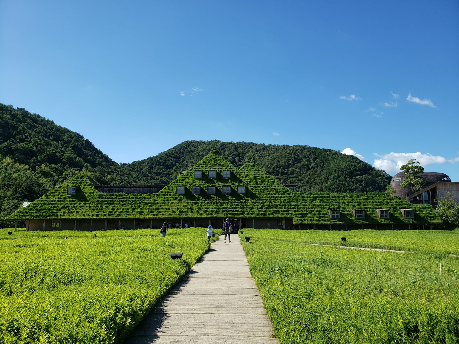 อาคารที่ปกคลุมด้วยสีเขียวพร้อมทางเดินและท้องฟ้าสีฟ้าใส