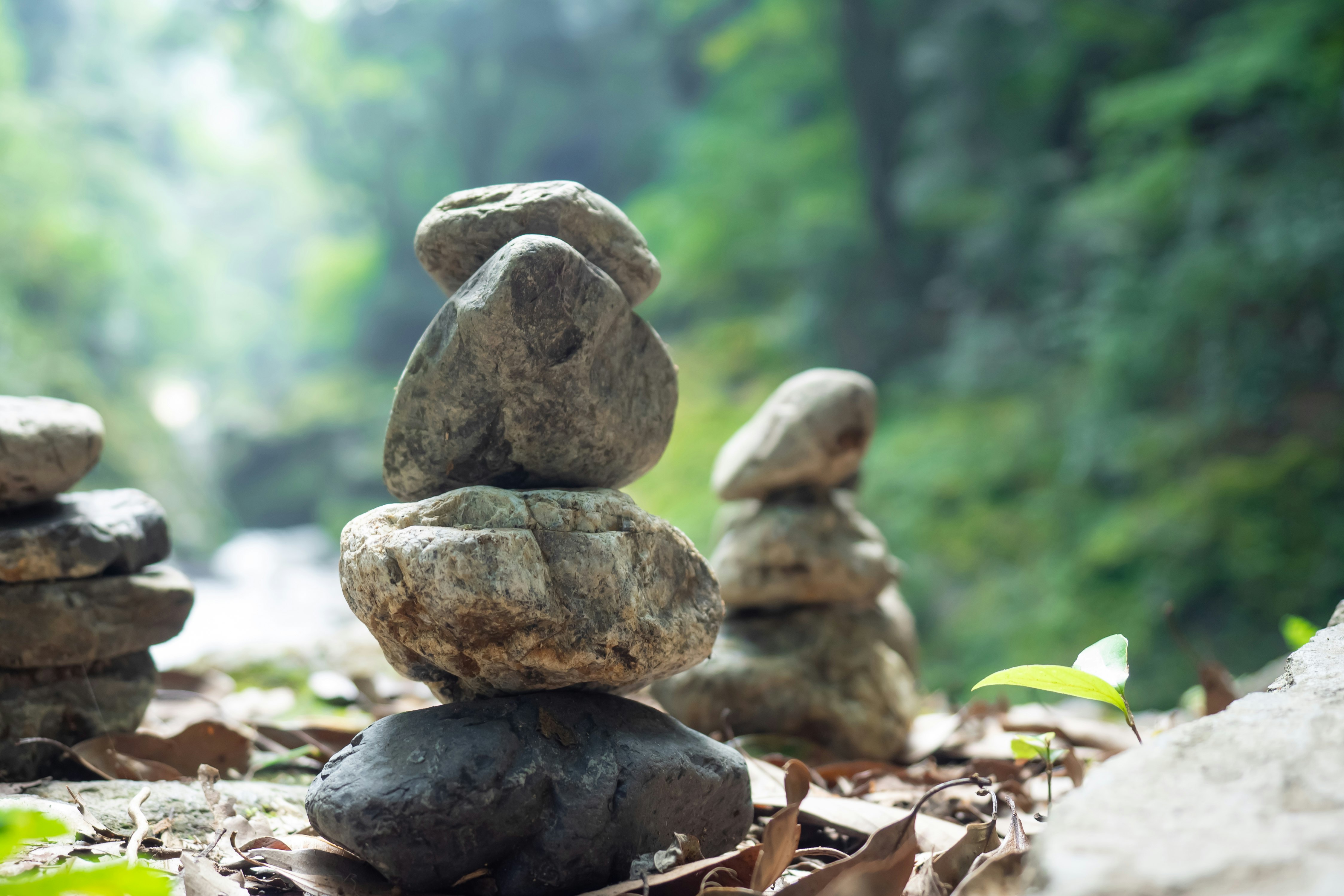 mossy stacked stones with a forest path background