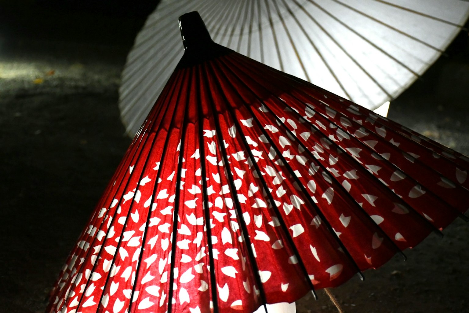 ภาพสวยของร่มญี่ปุ่นดั้งเดิมสีแดงและสีขาว