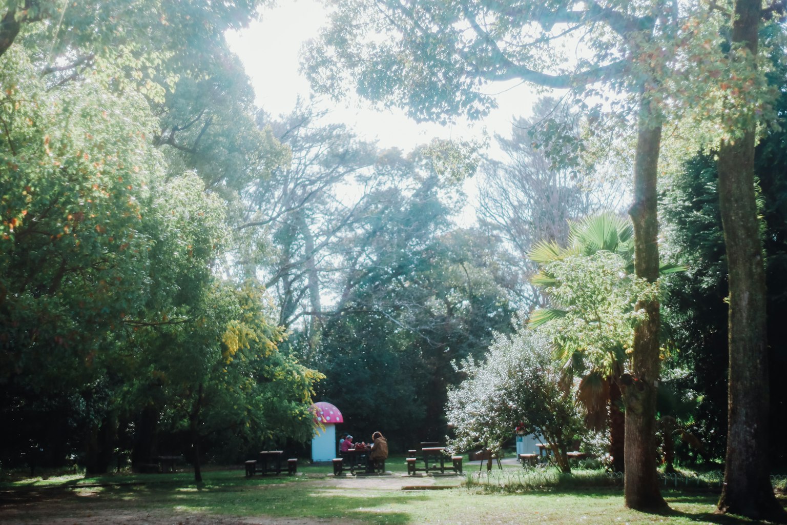 Scena di parco circondata da alberi verdi persone che si rilassano in zona un tavolo con un ombrello rosa