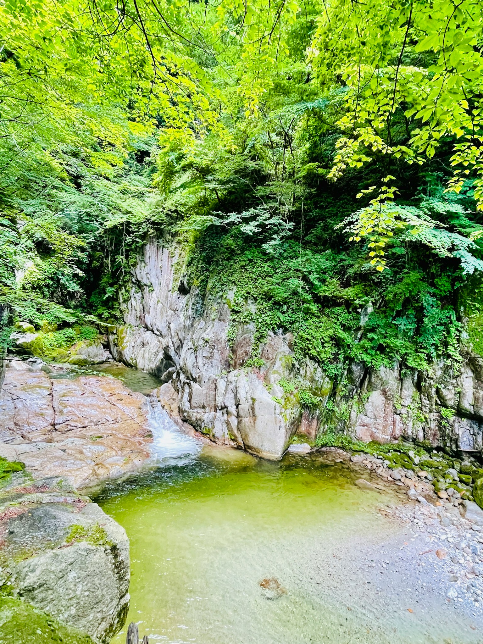 Paysage naturel avec feuillage vert et un bassin tranquille près des falaises rocheuses