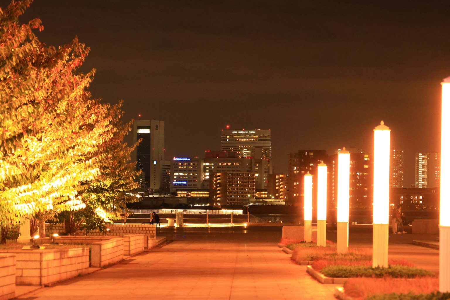 夜景城市景觀，照亮的樹木和路燈