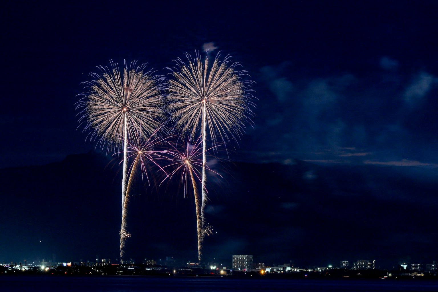 Hermosa escena de fuegos artificiales estallando en el cielo nocturno con dos grandes flores