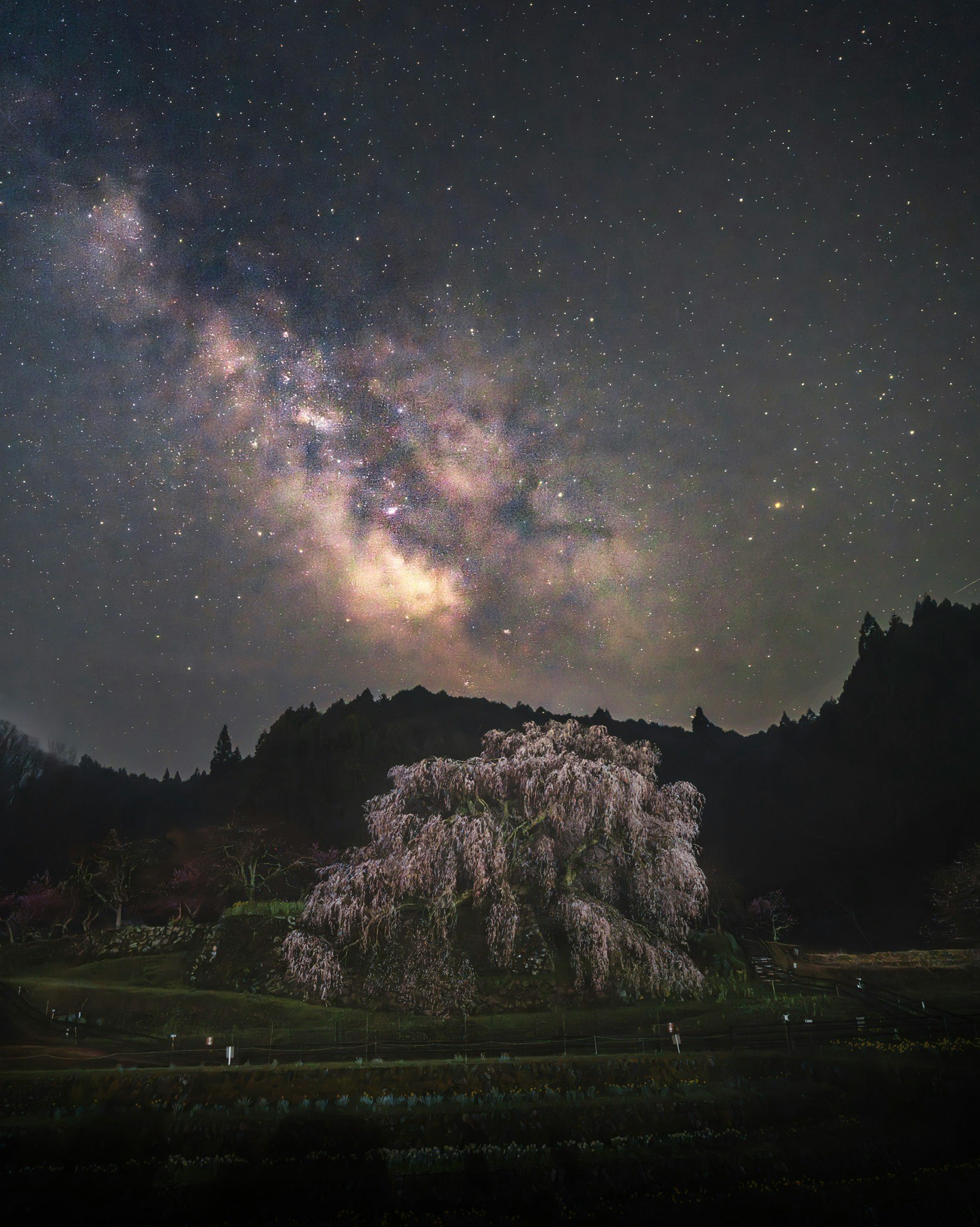 photo-GE3PDDMkP6fXBN1vE73i