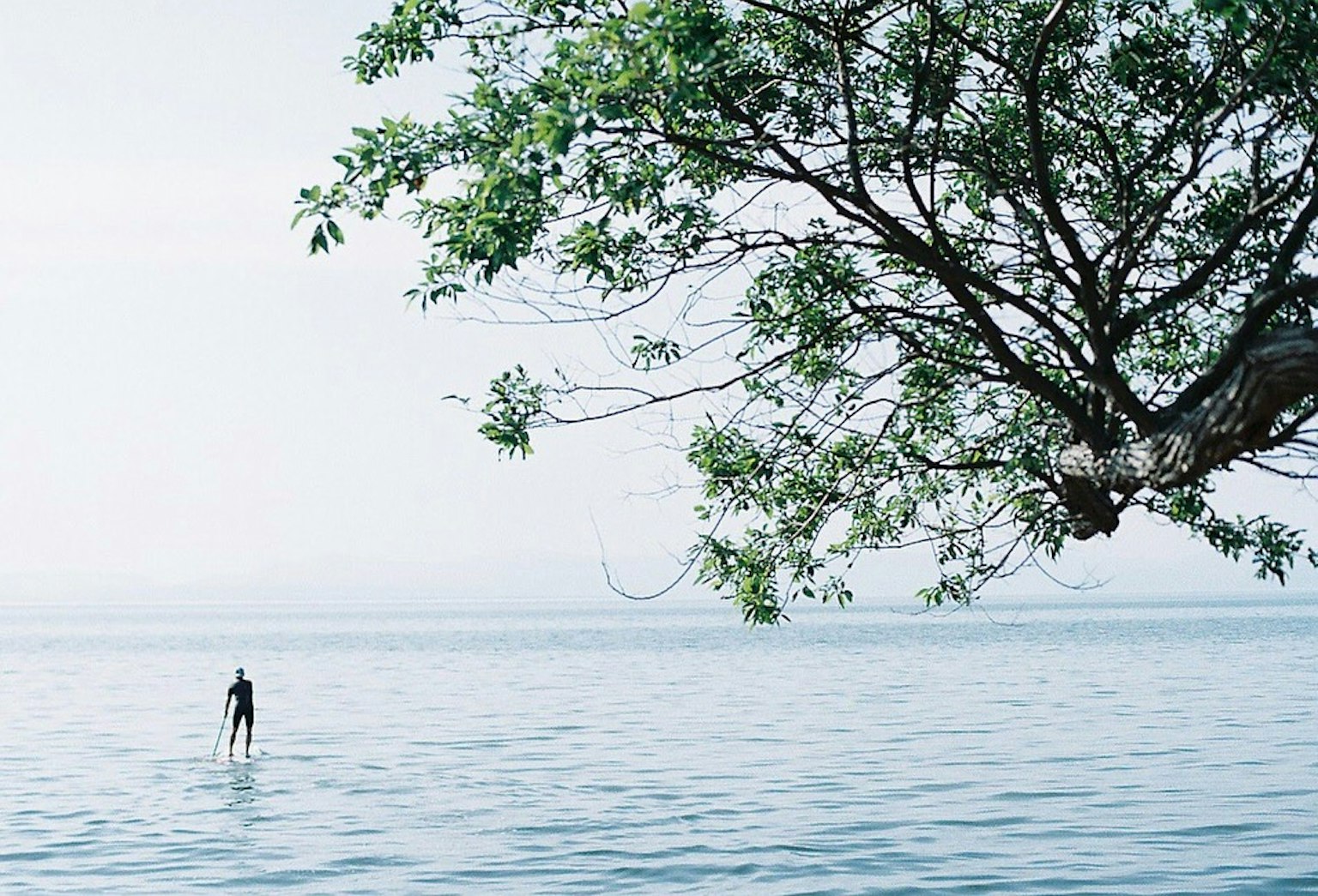 A person standing on calm water with a tree and blue sky in the background