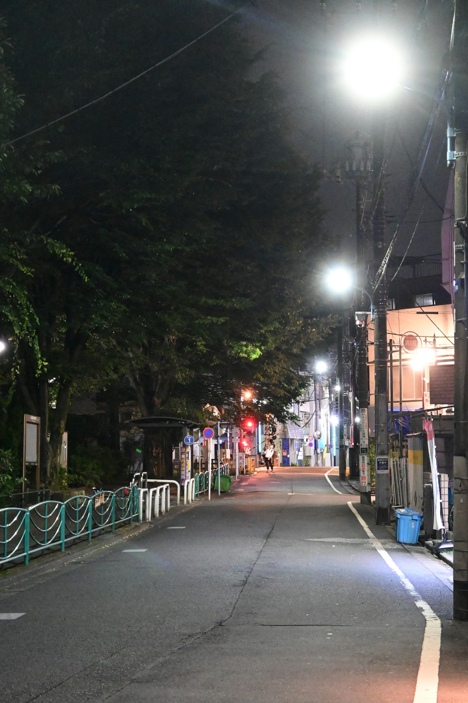 Jalan sepi di malam hari dengan lampu jalan dan pepohonan hijau di sepanjang jalan