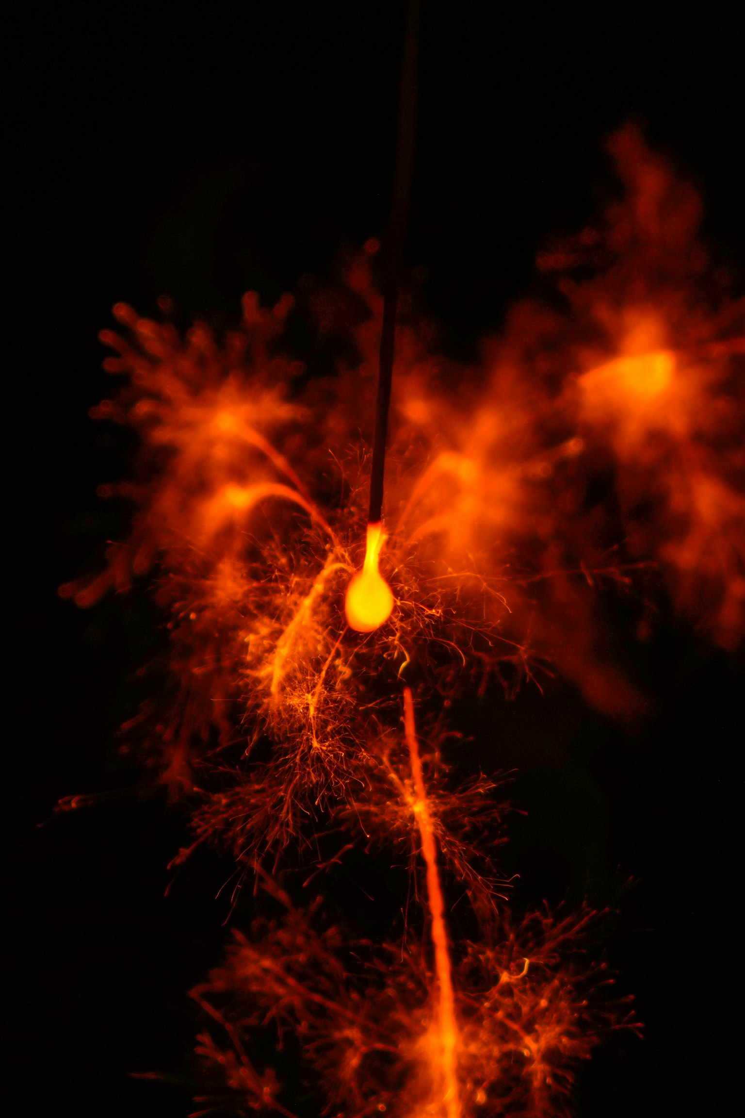 Immagine che cattura scintille arancioni che emanano da una piccola fonte su sfondo scuro