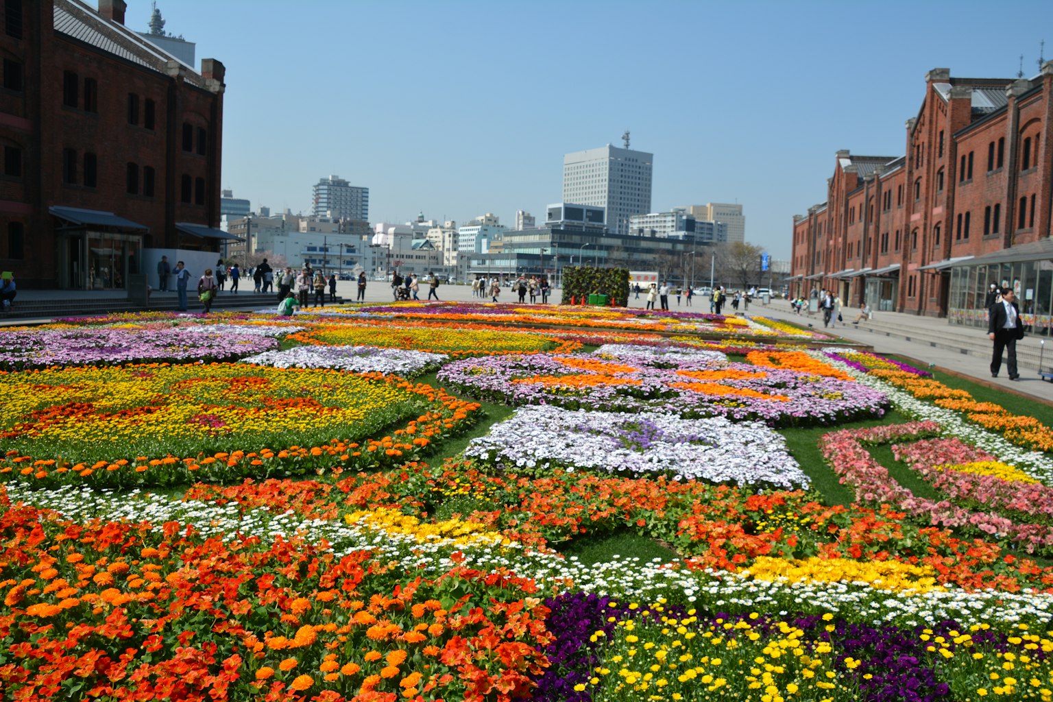 Vibrant flower garden with colorful blooms and historic buildings