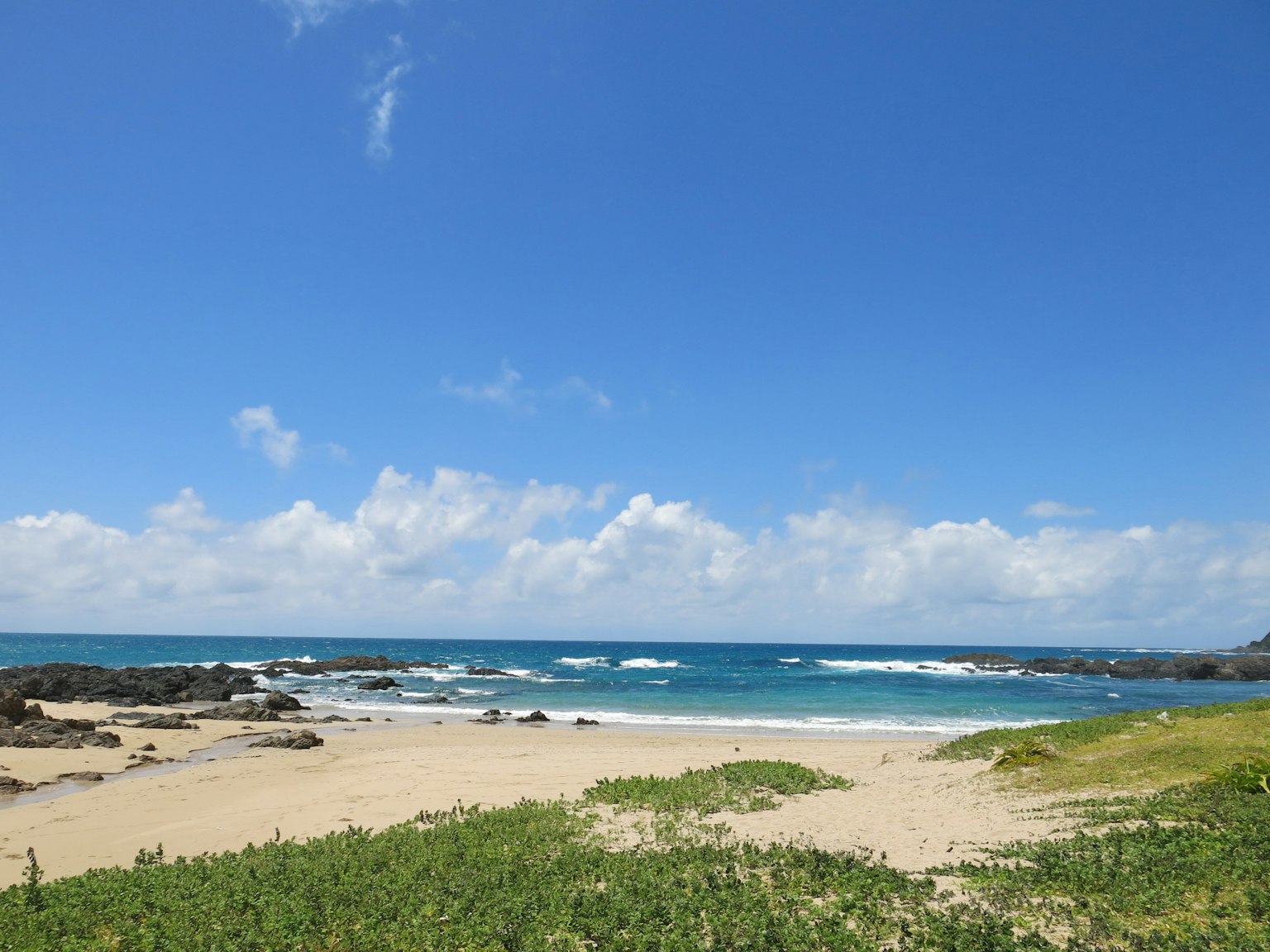 A beach landscape with a blue sky and white clouds Green grass along the shore Waves crashing on the sea