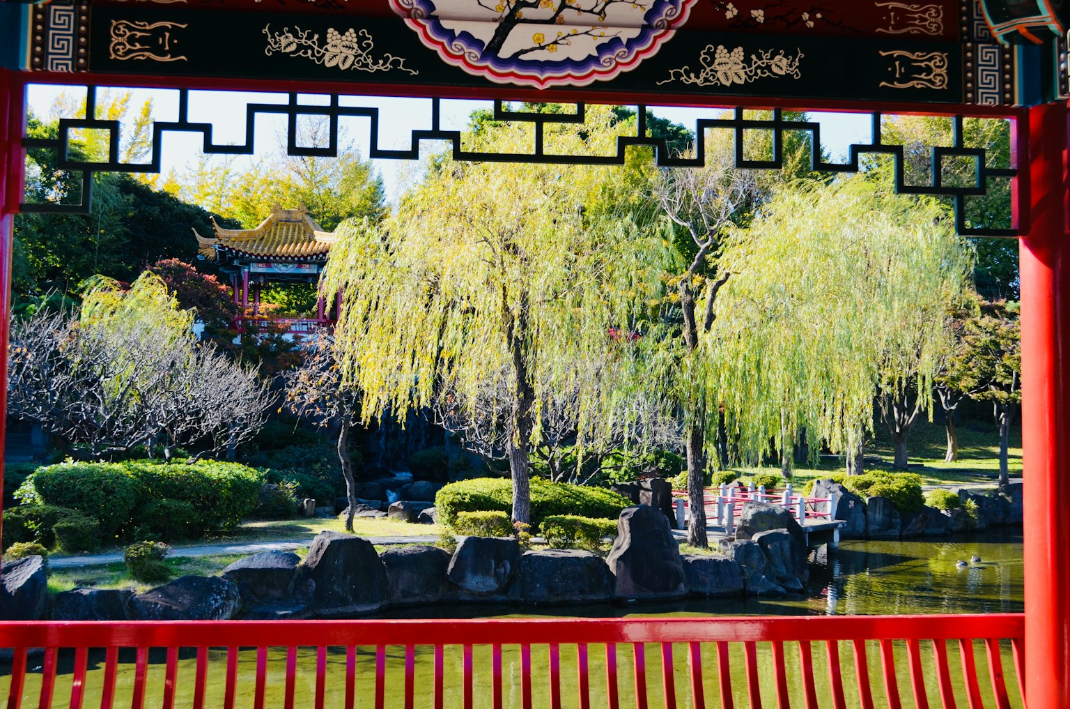 Pemandangan indah taman Jepang yang dibingkai oleh paviliun merah dengan pohon willow hijau dan kolam yang tenang