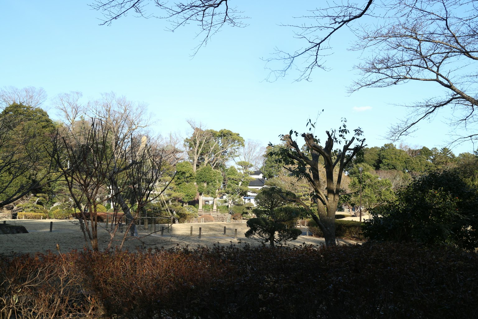 寧靜藍天下的公園景觀 有幾棵樹和低矮的灌木