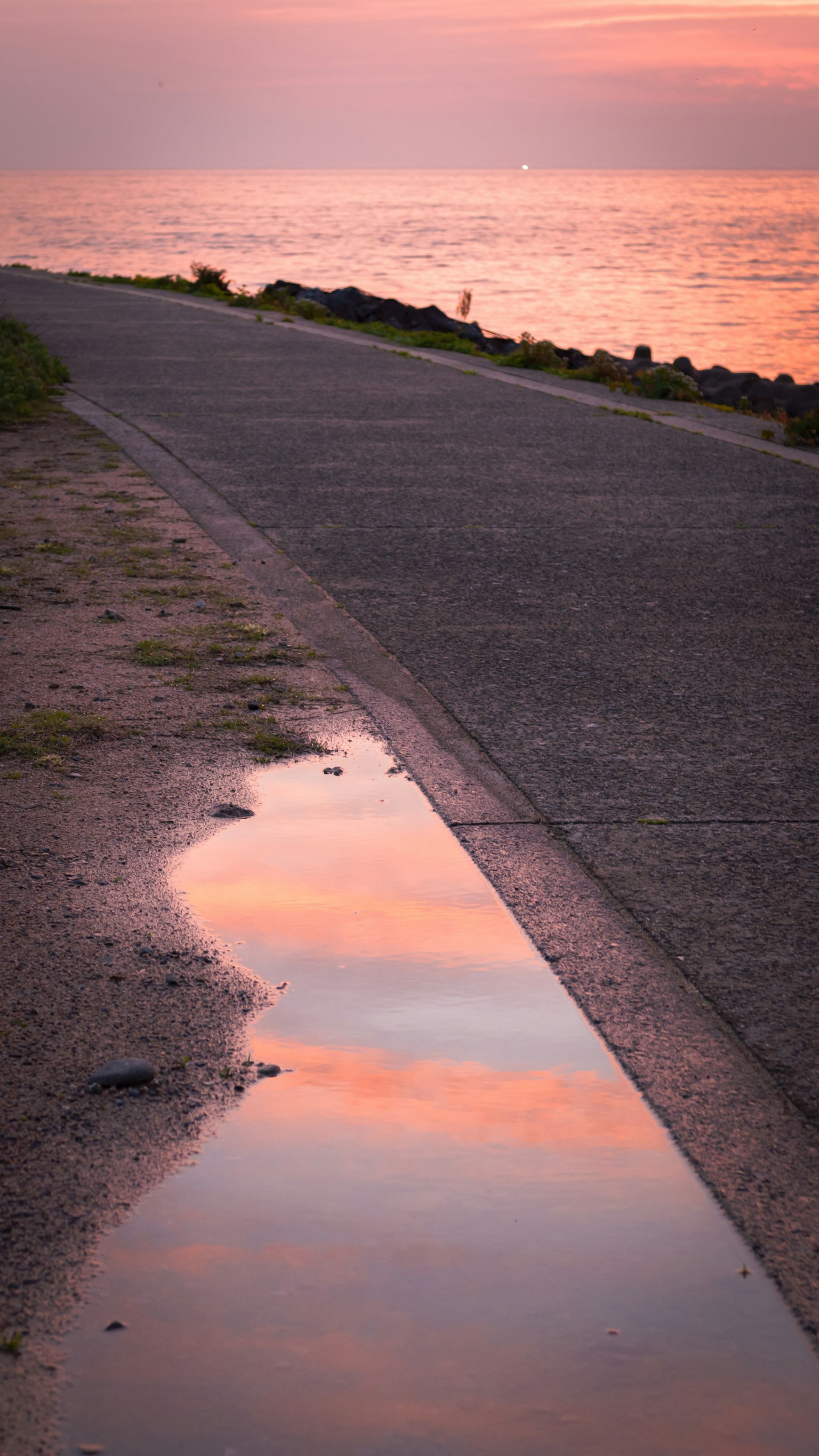 Charco que refleja los colores del atardecer al lado de una carretera
