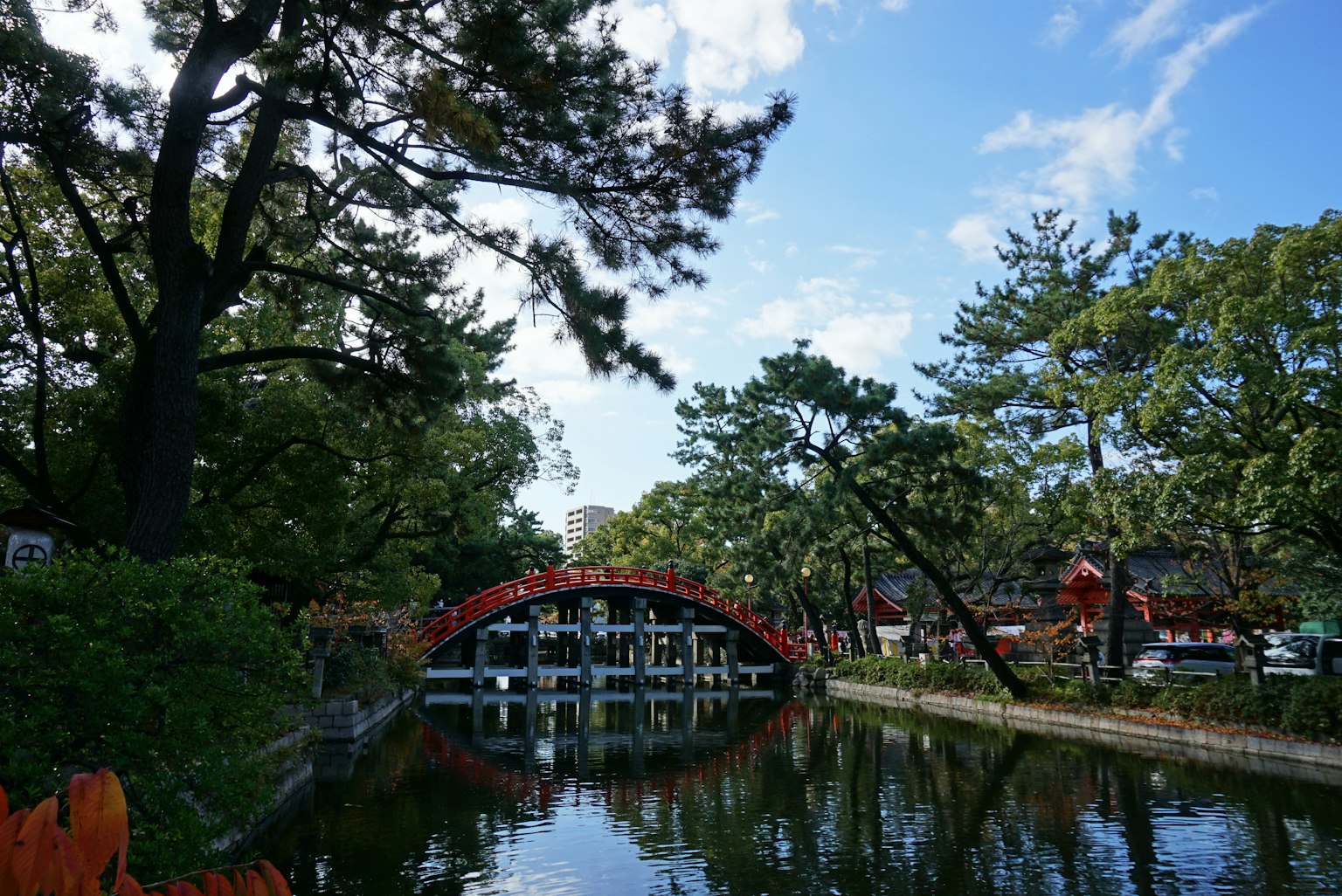 ทิวทัศน์ที่สวยงามของสะพานสีแดงข้ามบ่อน้ำที่ล้อมรอบด้วยต้นไม้เขียวขจีและน้ำที่สงบ