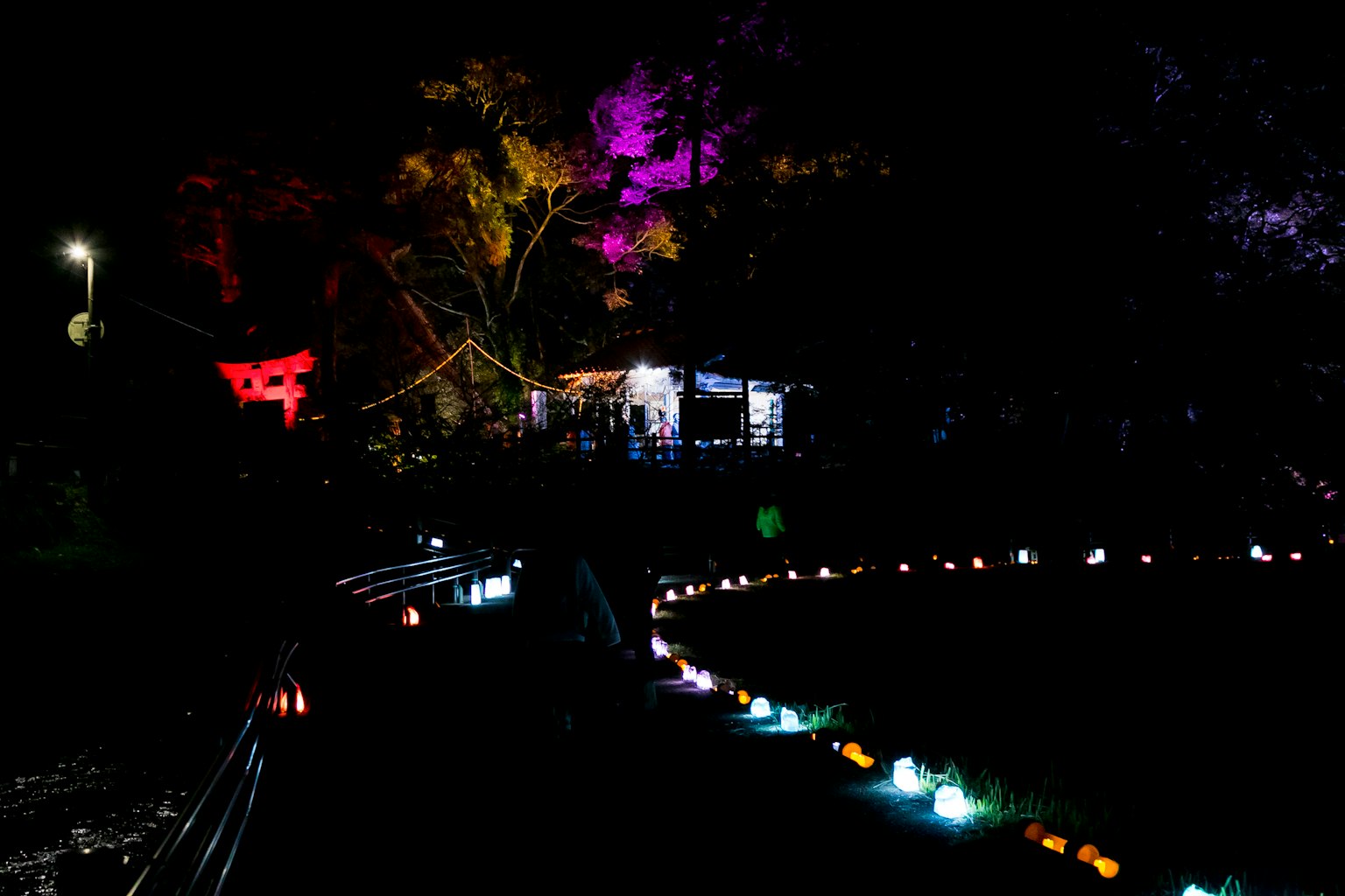 Nachtansicht eines Parks mit bunten Lichtern, die eine Hütte und einen dekorierten Weg beleuchten