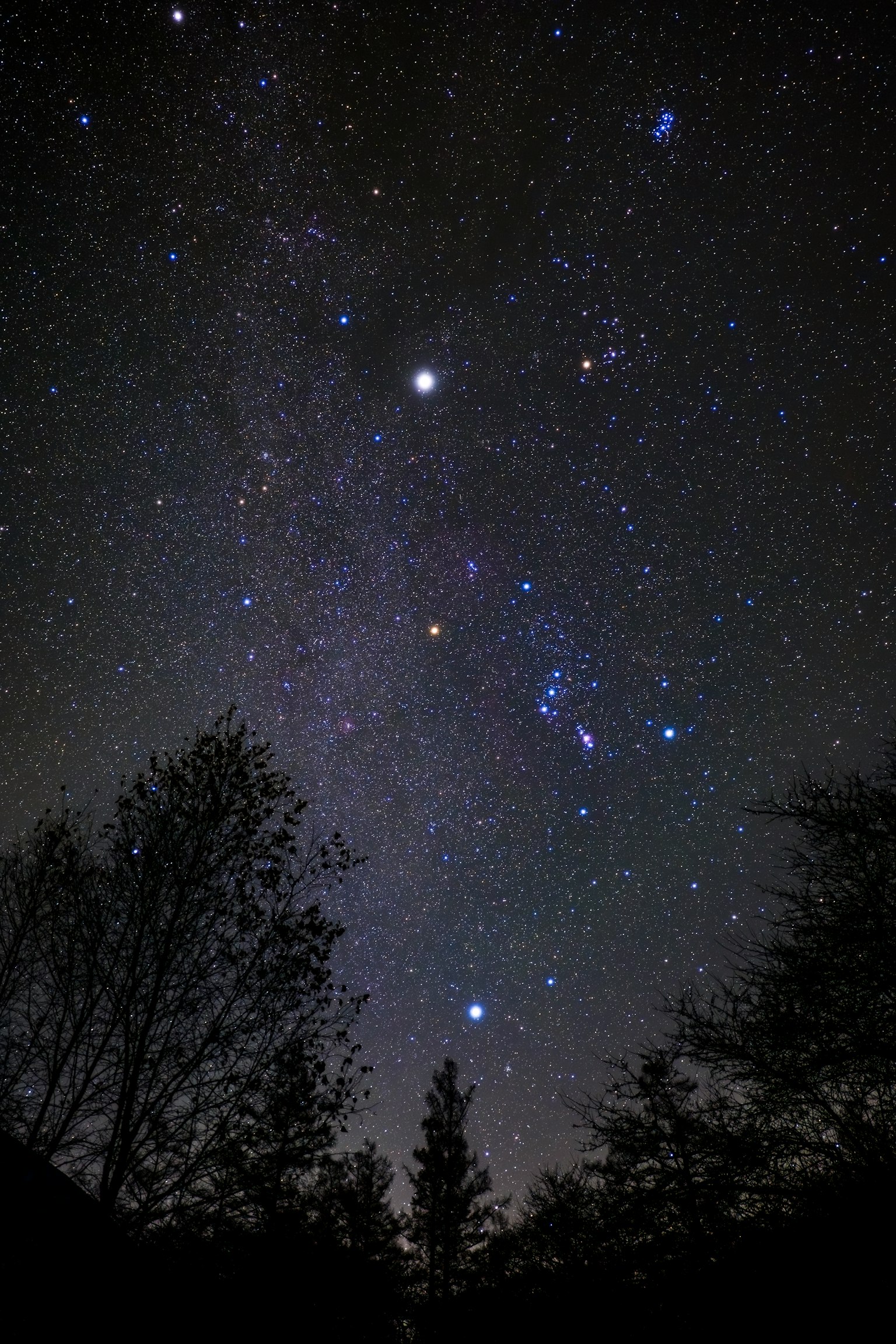 Foto langit malam menampilkan Orion dan bintang-bintang cerah