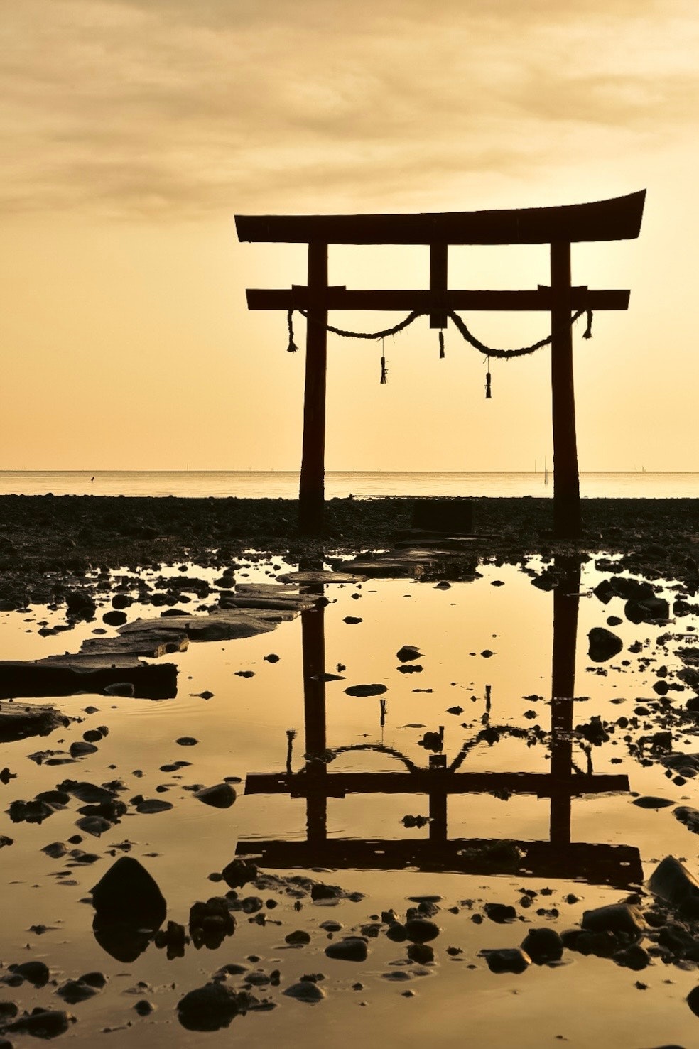 鳥居のシルエットと海辺の干潟の反射