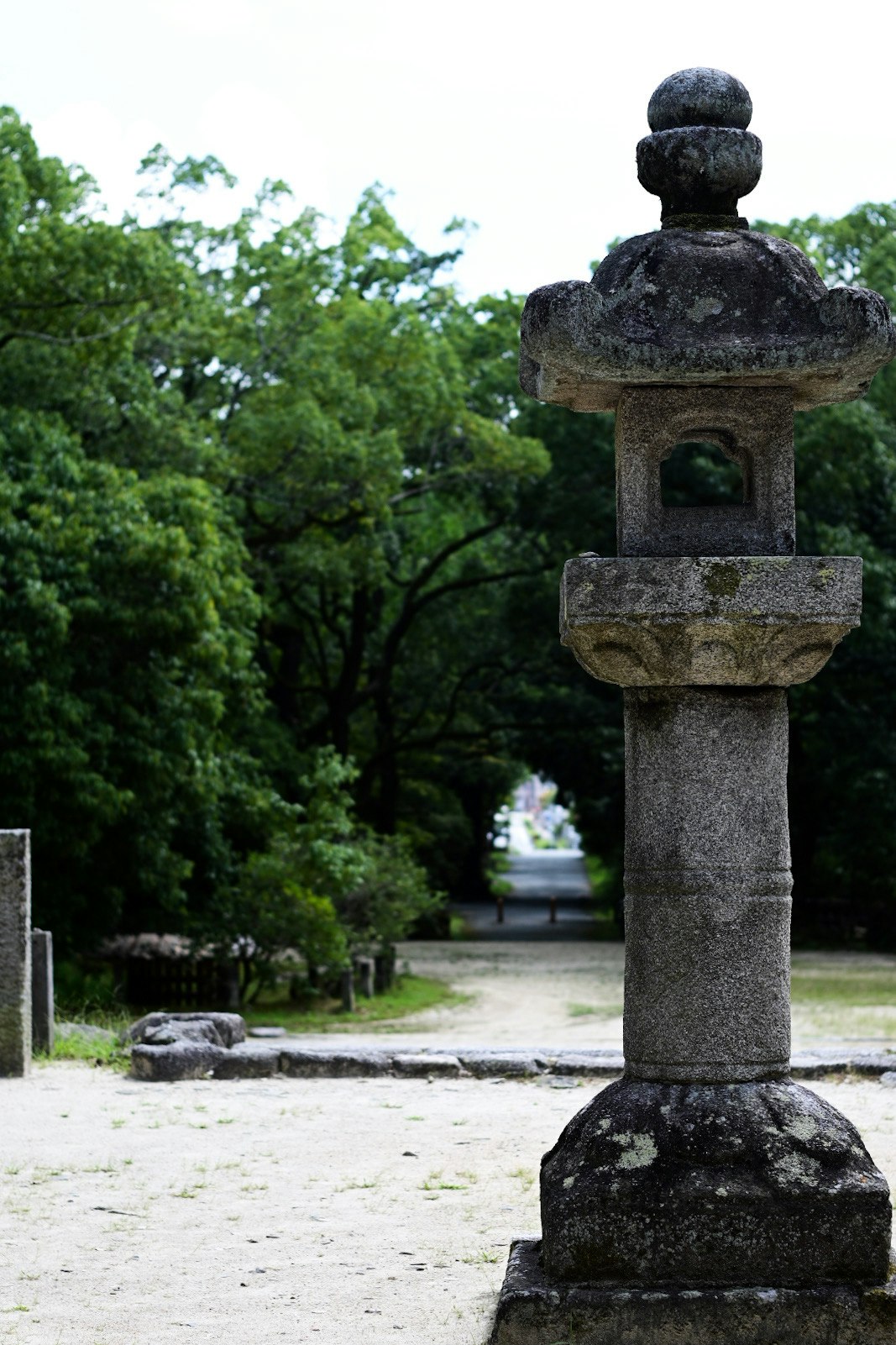 石の灯籠と緑の並木が続く庭園の参道
