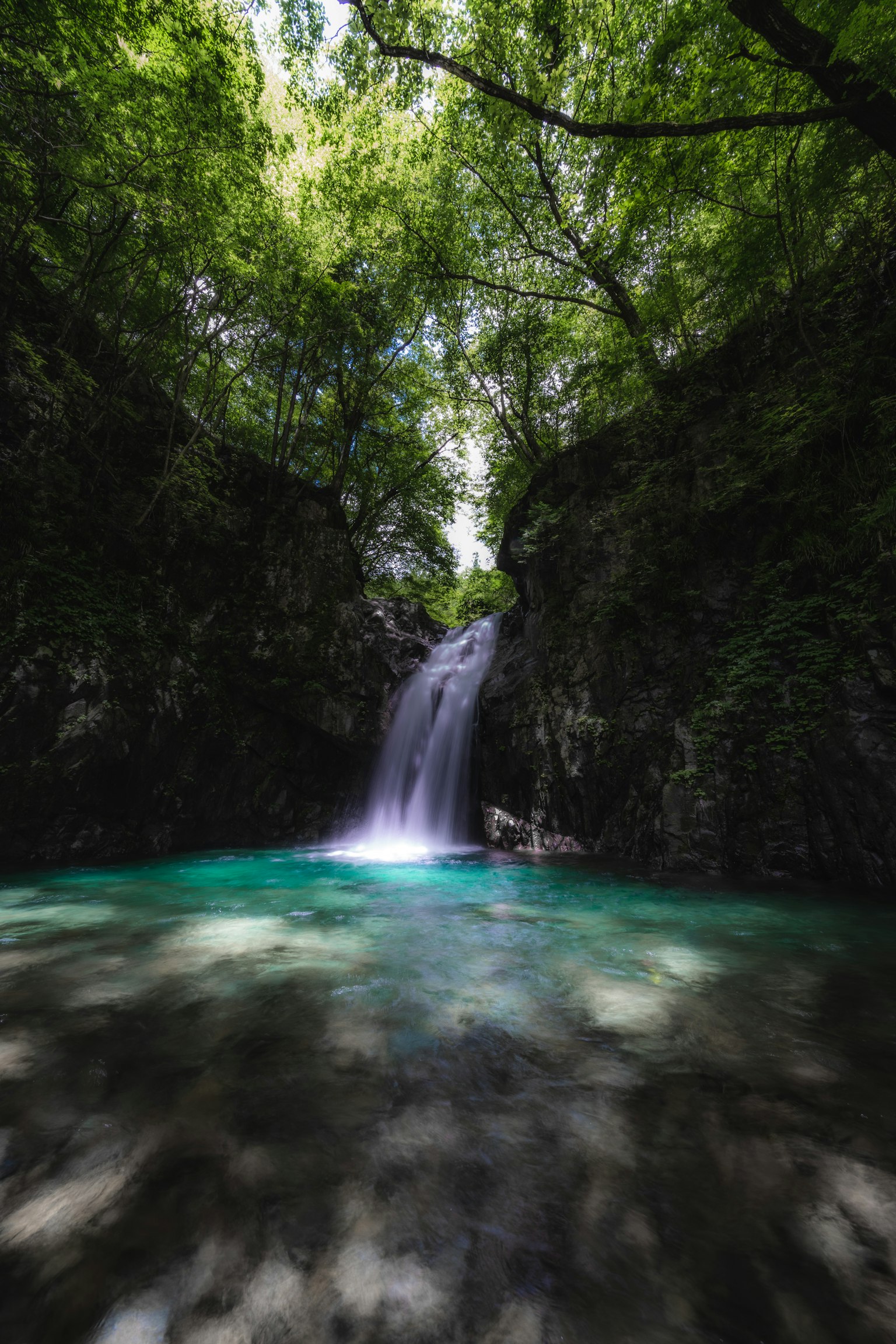 Cascata che scende in una piscina turchese circondata da una vegetazione lussureggiante