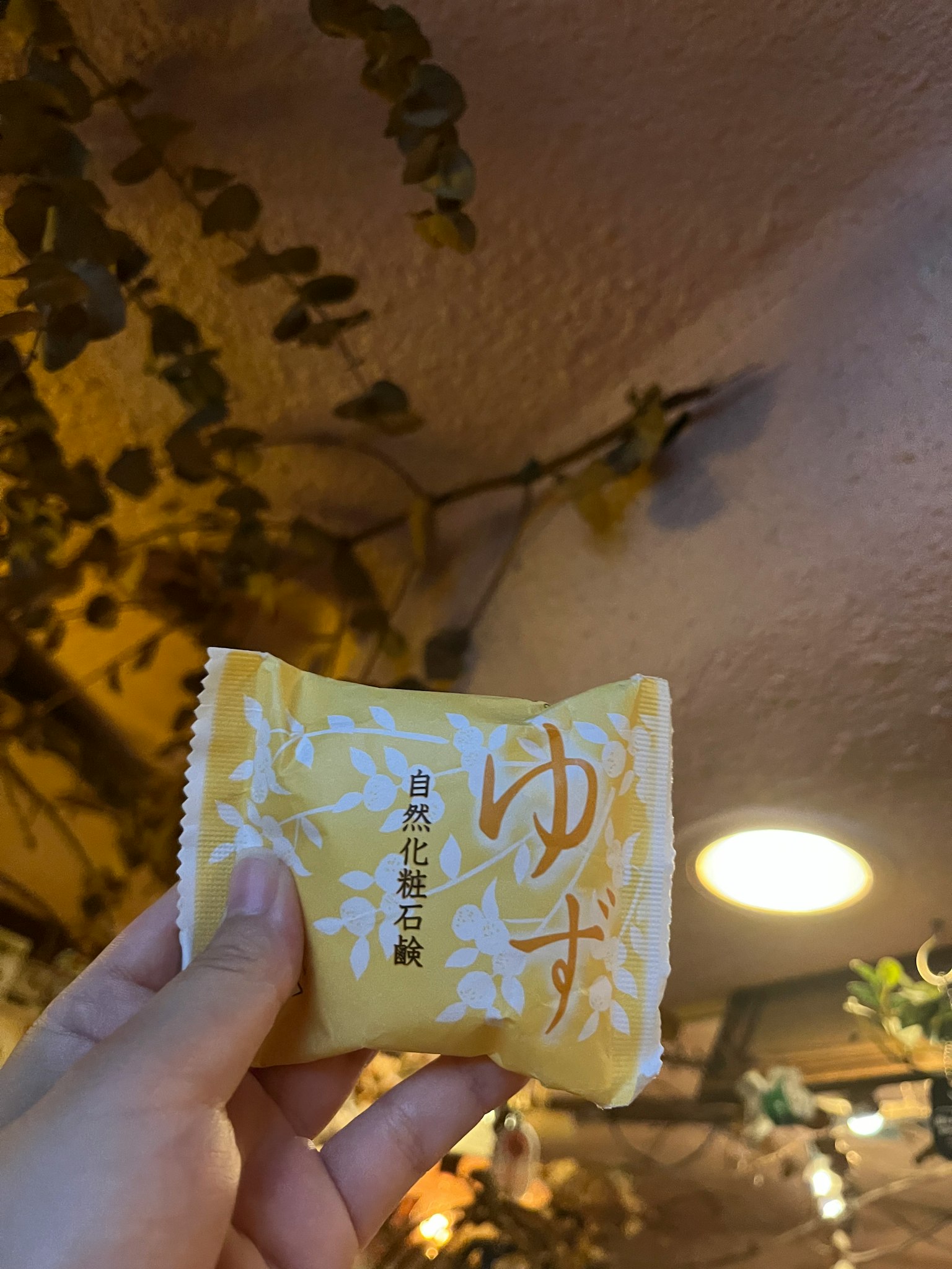 Una mano che tiene un pacchetto giallo di dolci giapponesi con un design di yuzu