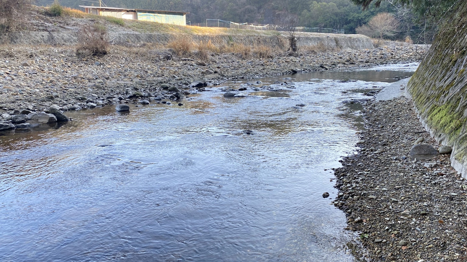 宁静的河流场景 温柔的水流 岸边散落的石头和背景中的绿色植物