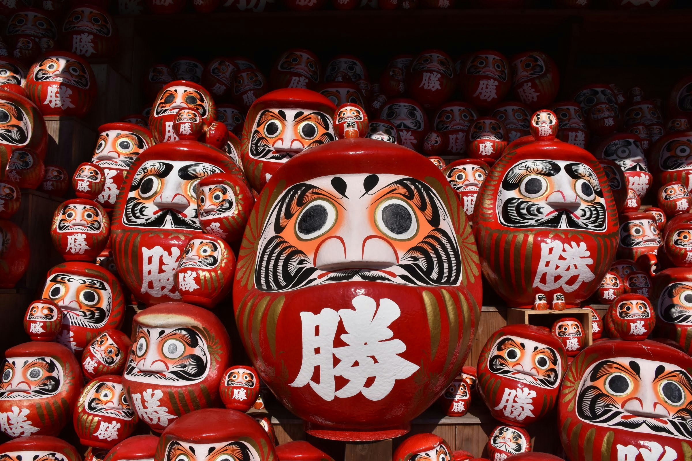 だるまの置物が並ぶ縁起物の棚