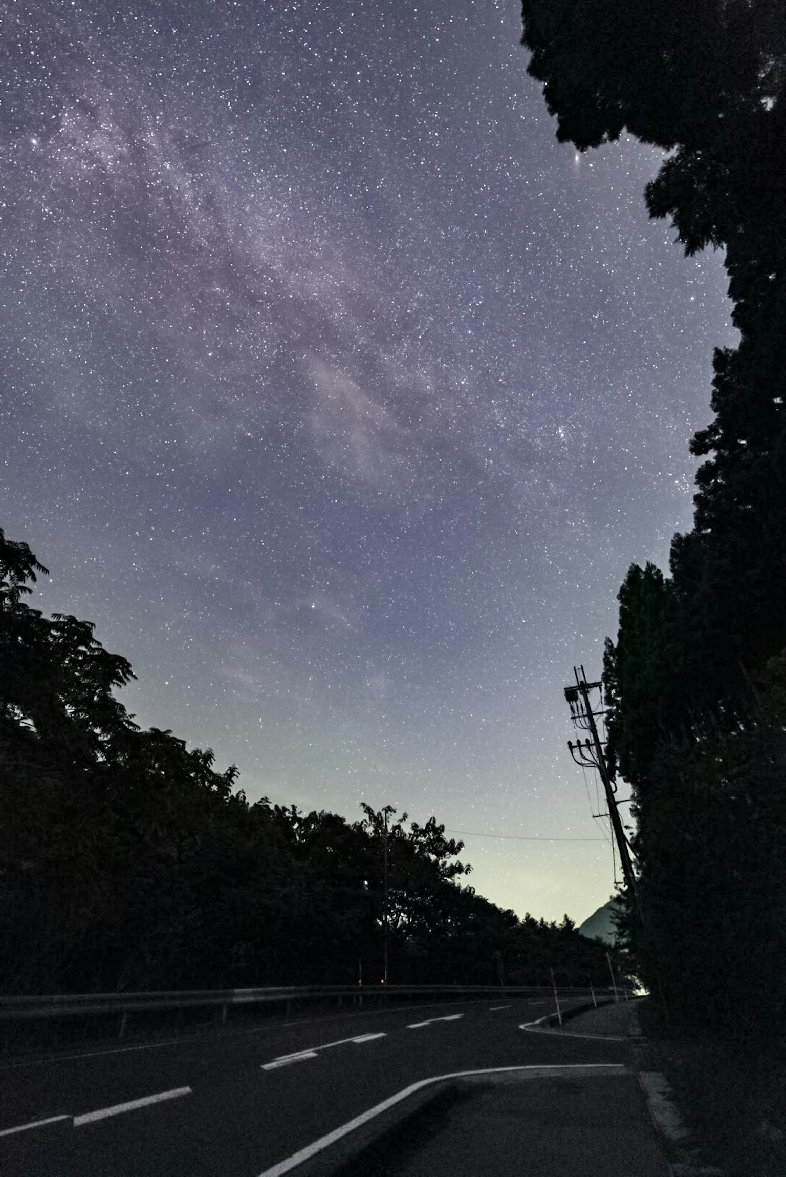 Vista escénica de una carretera bajo un cielo estrellado rodeada de árboles con estrellas brillantes