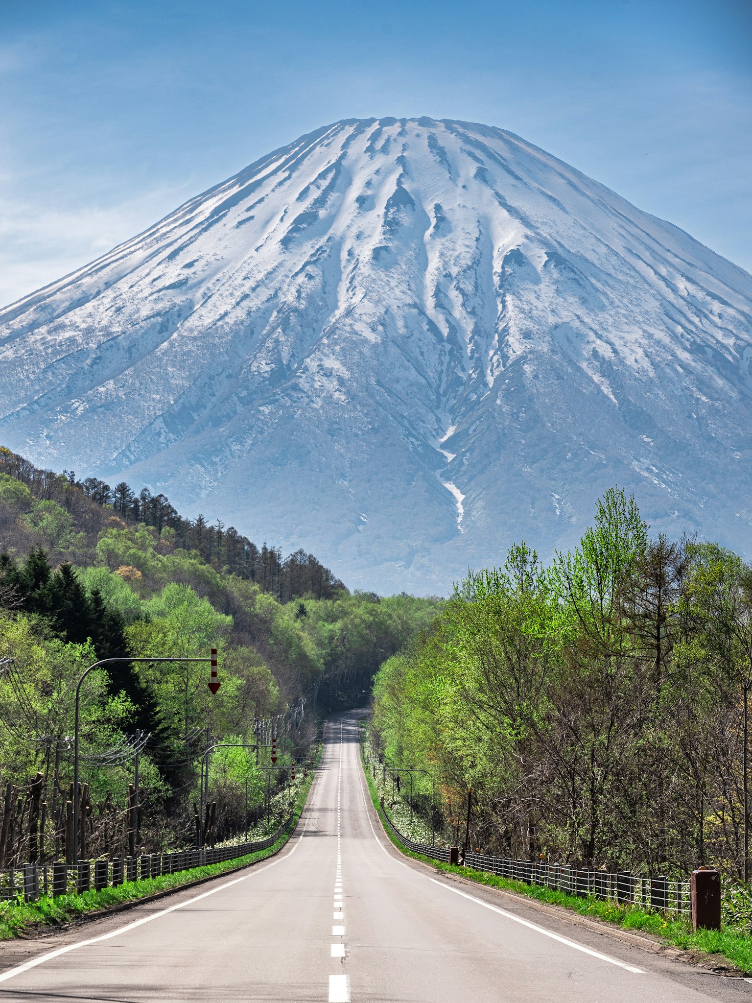 被绿色植物环绕的道路和雪山的风景
