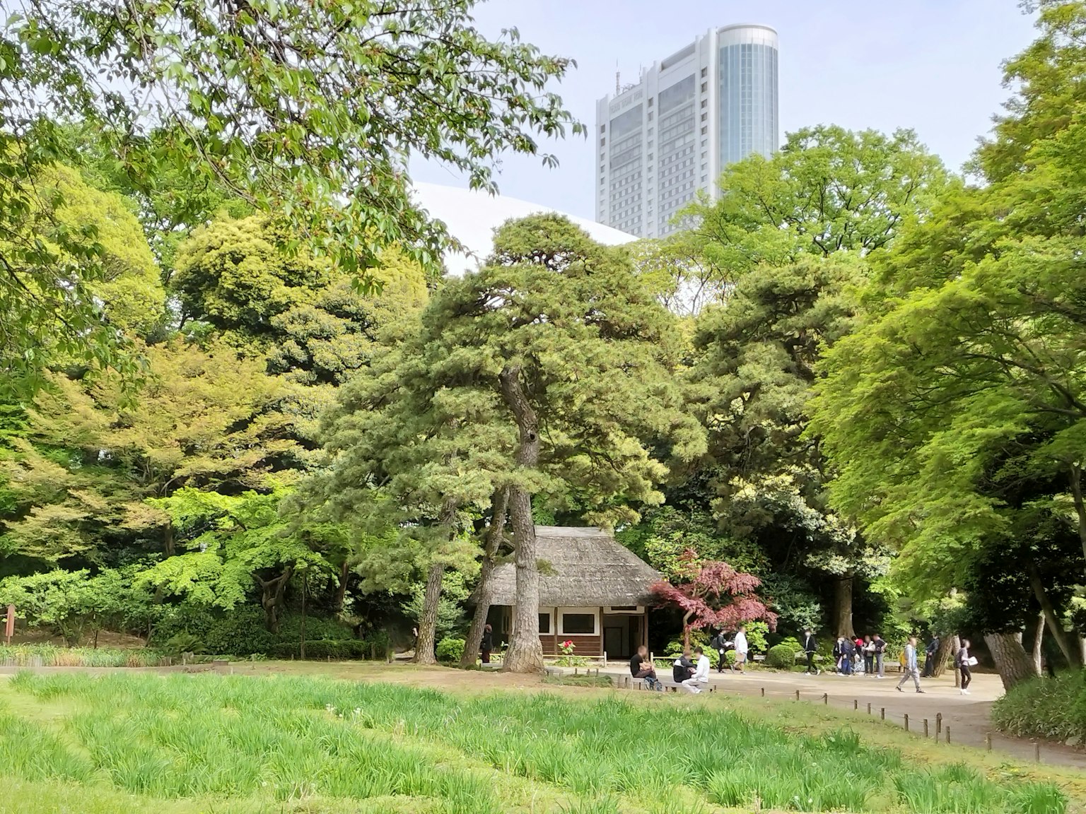 Rumah Jepang tradisional dikelilingi oleh vegetasi subur dengan gedung pencakar langit modern di latar belakang
