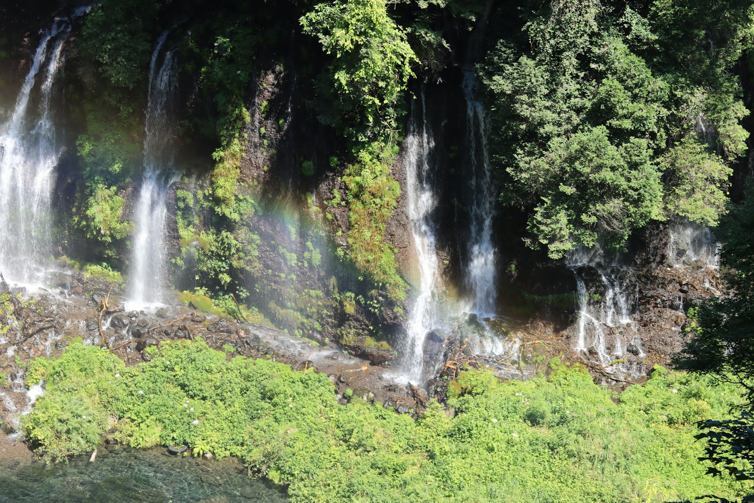 Beautiful waterfalls cascading in a lush green landscape