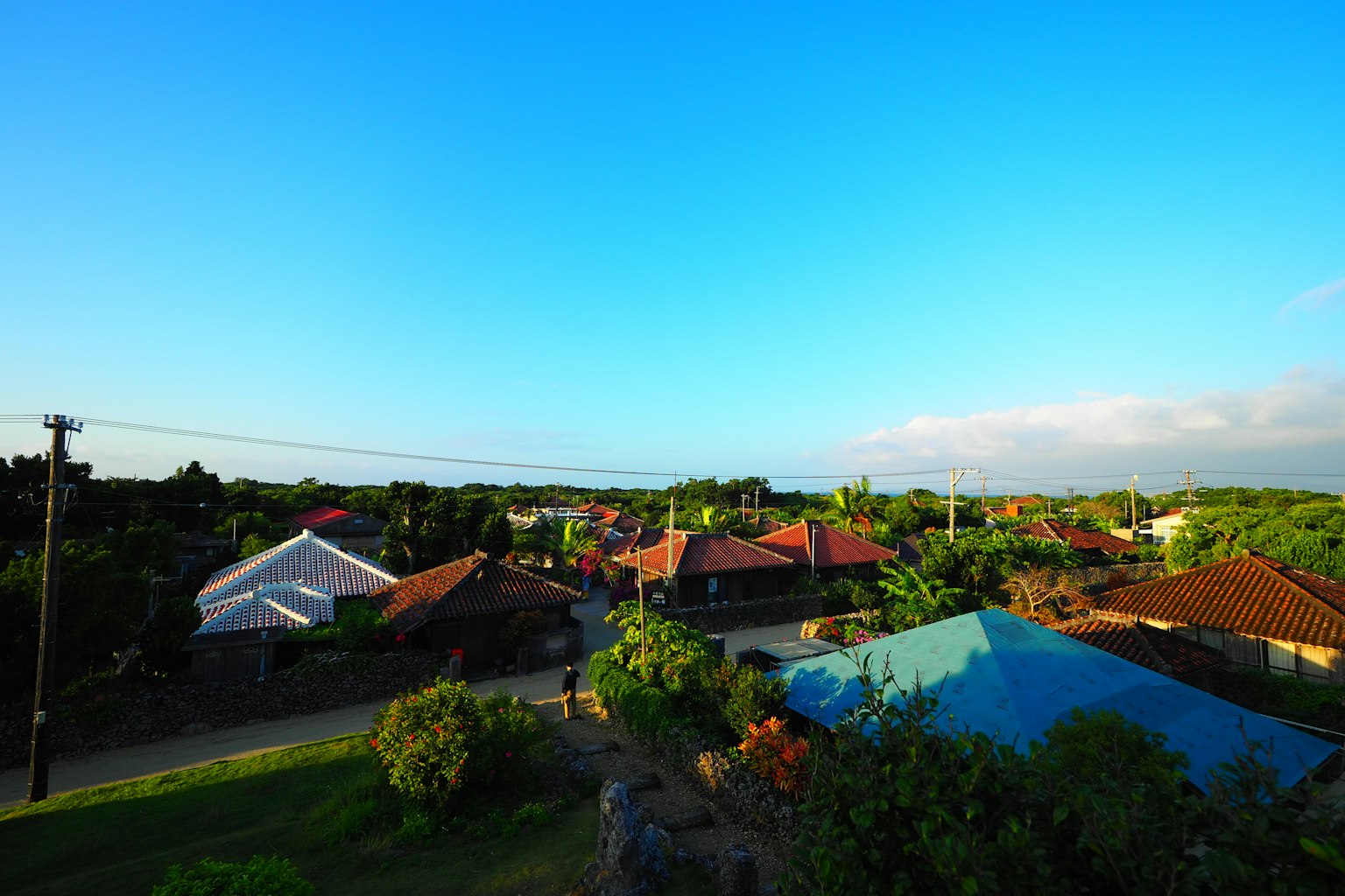 蓝天之下的住宅区风景 绿色树木和多彩屋顶
