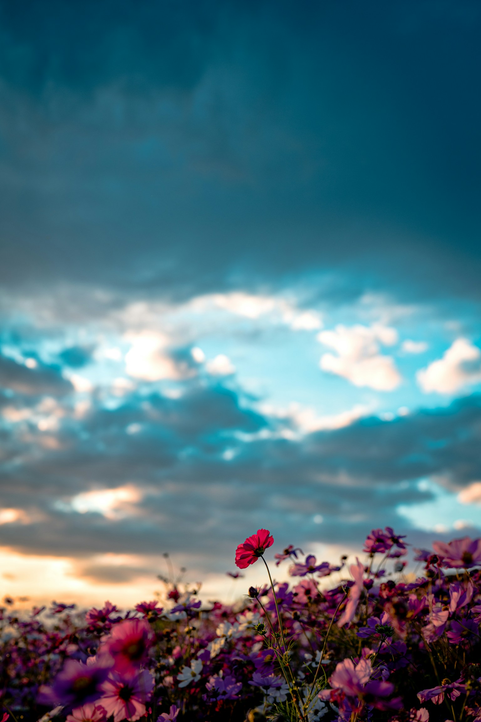 photo-GKAYuY4ThE5ZcRqpiSX0-image