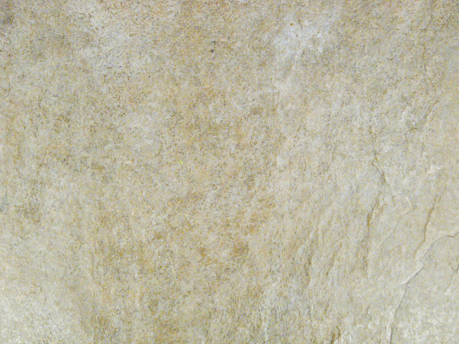 Fond beige clair texturé
