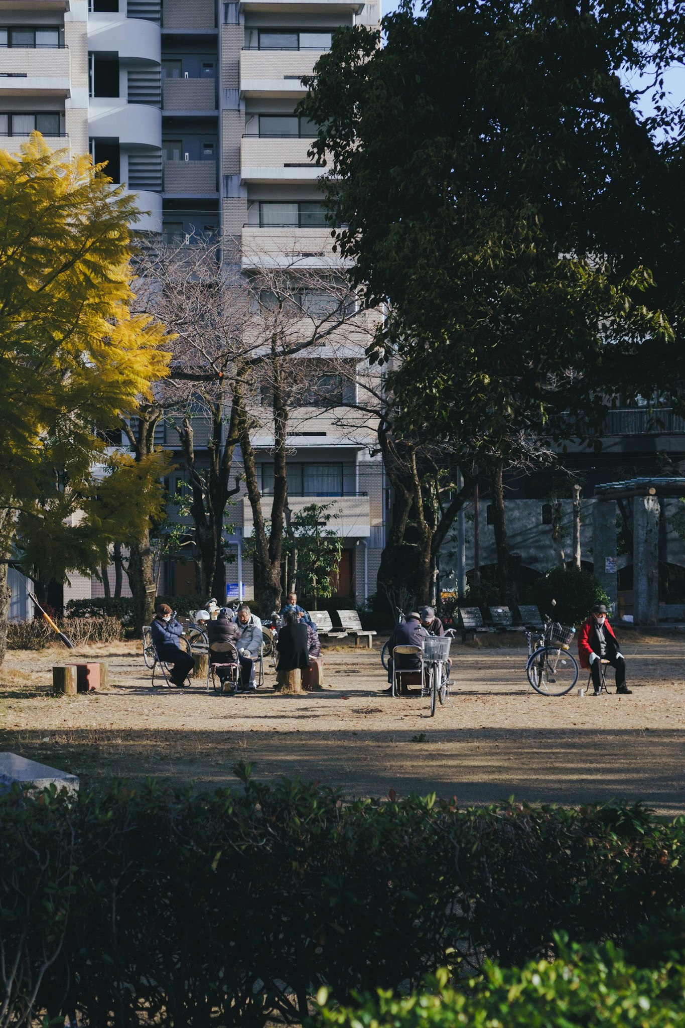 Persone che si rilassano in un parco circondato da vegetazione lussureggiante